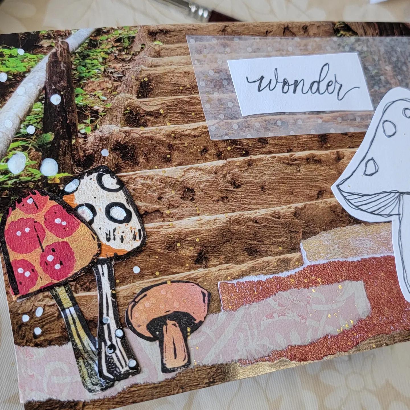Wonder - image 1 - student project