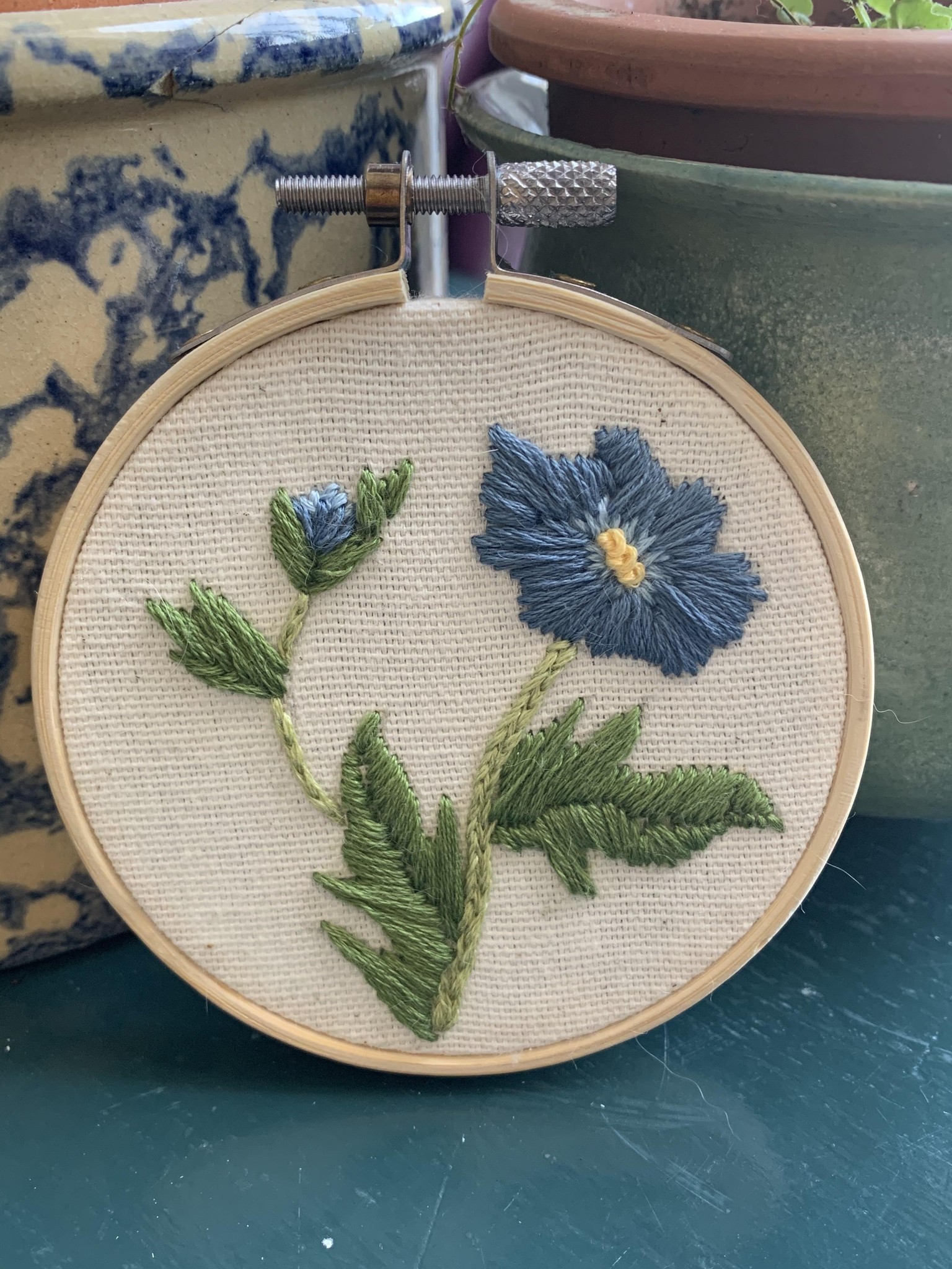 Mini anemone - image 1 - student project