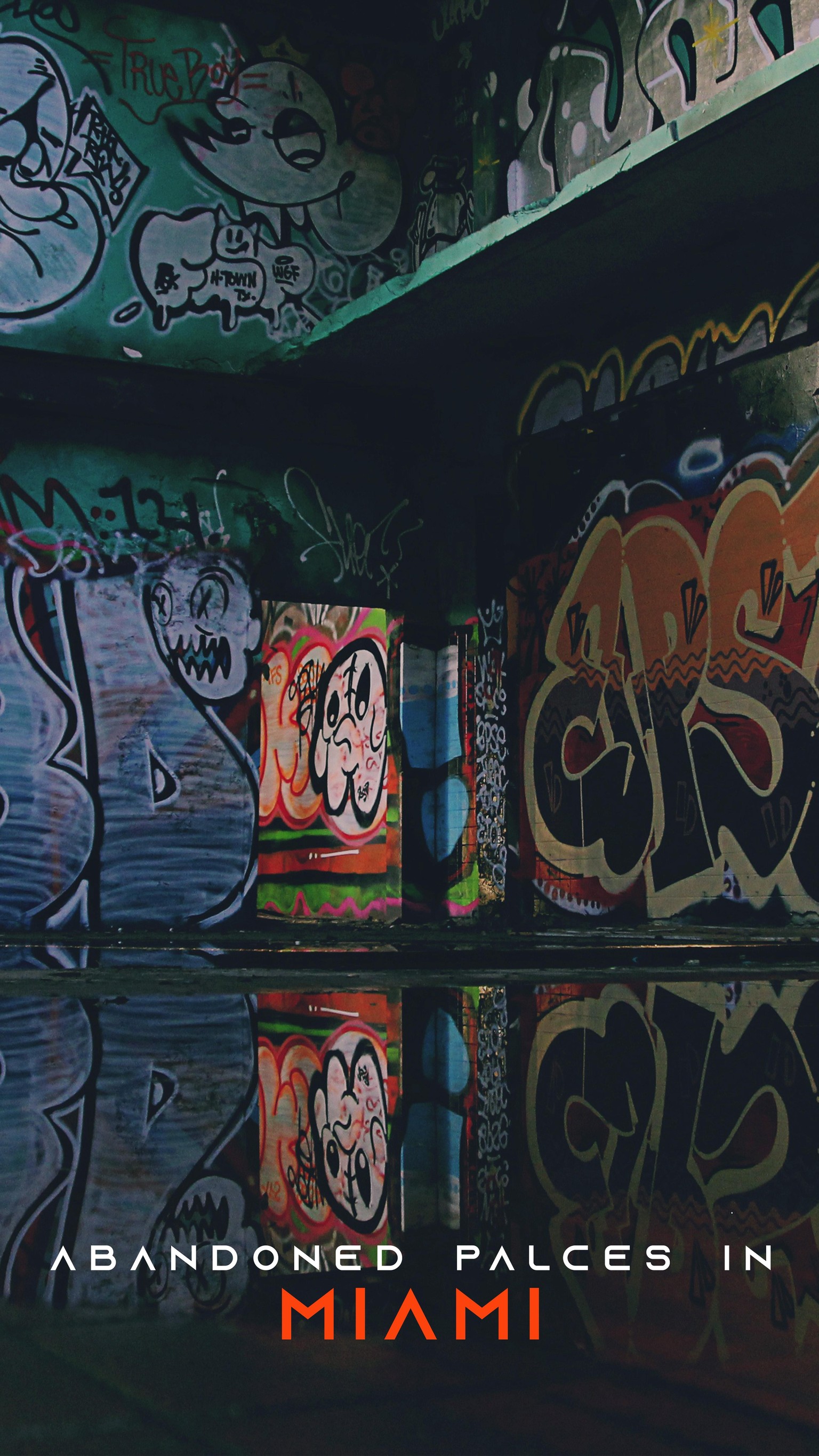 grahpic - image 2 - student project