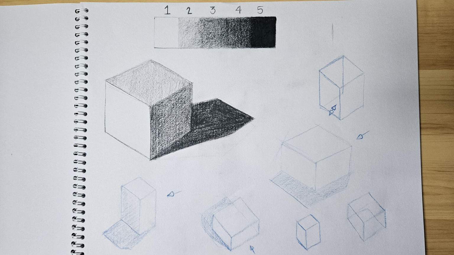 Rhino - image 2 - student project