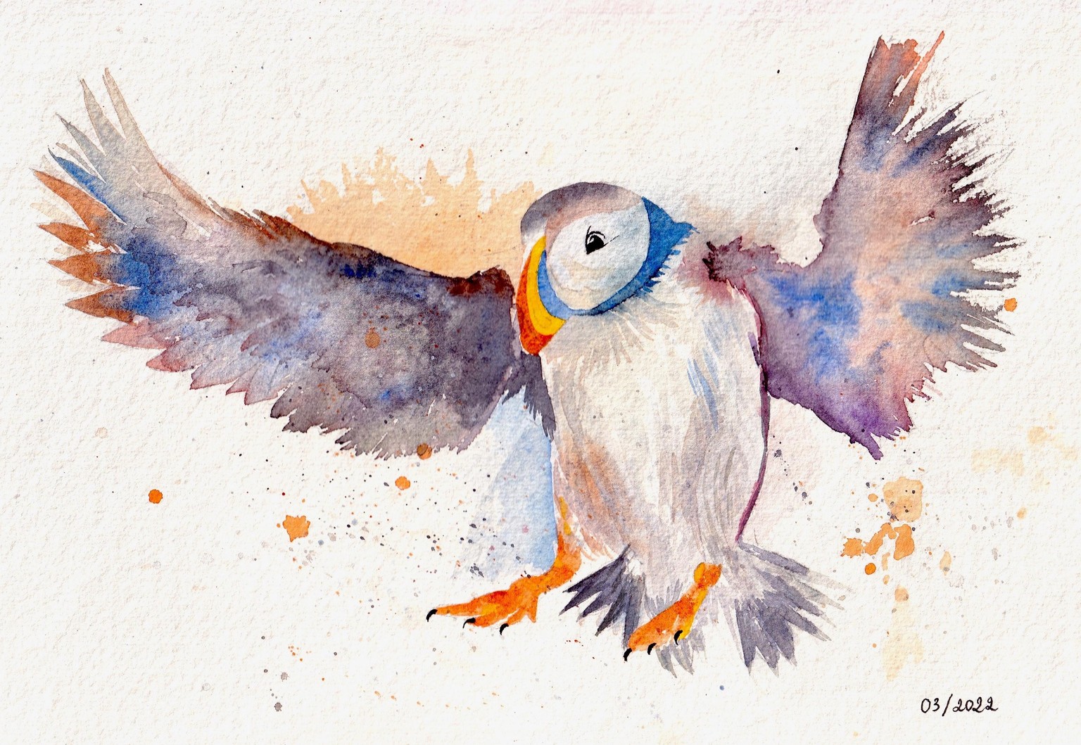 Watercolor Bird - image 1 - student project