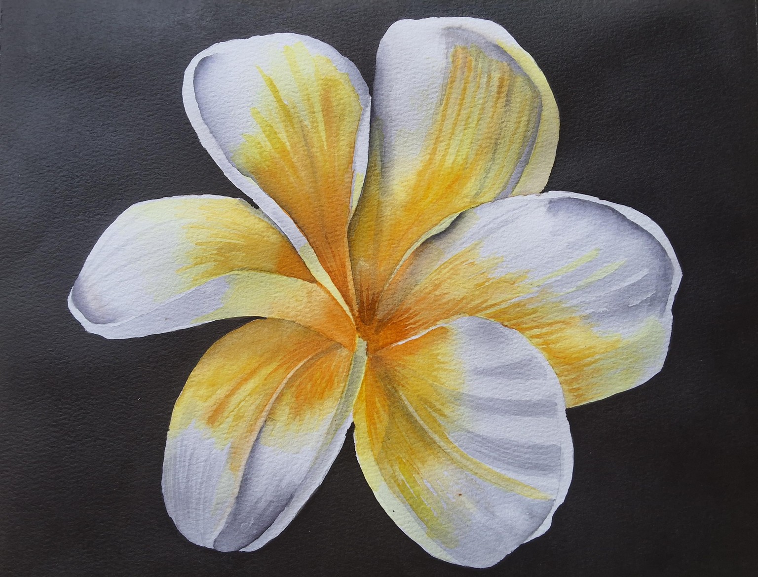 Plumeria - image 1 - student project