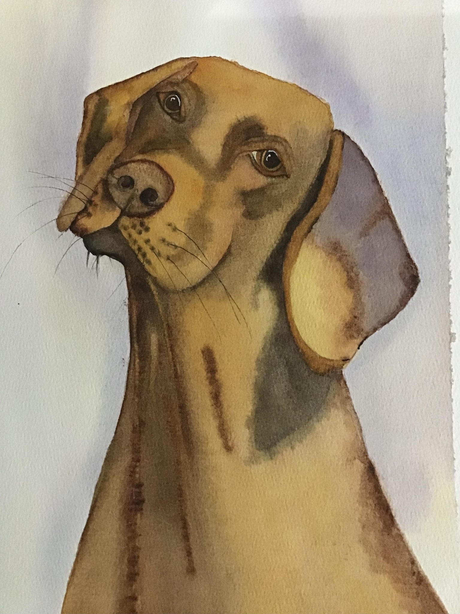 Realistic dog - image 1 - student project