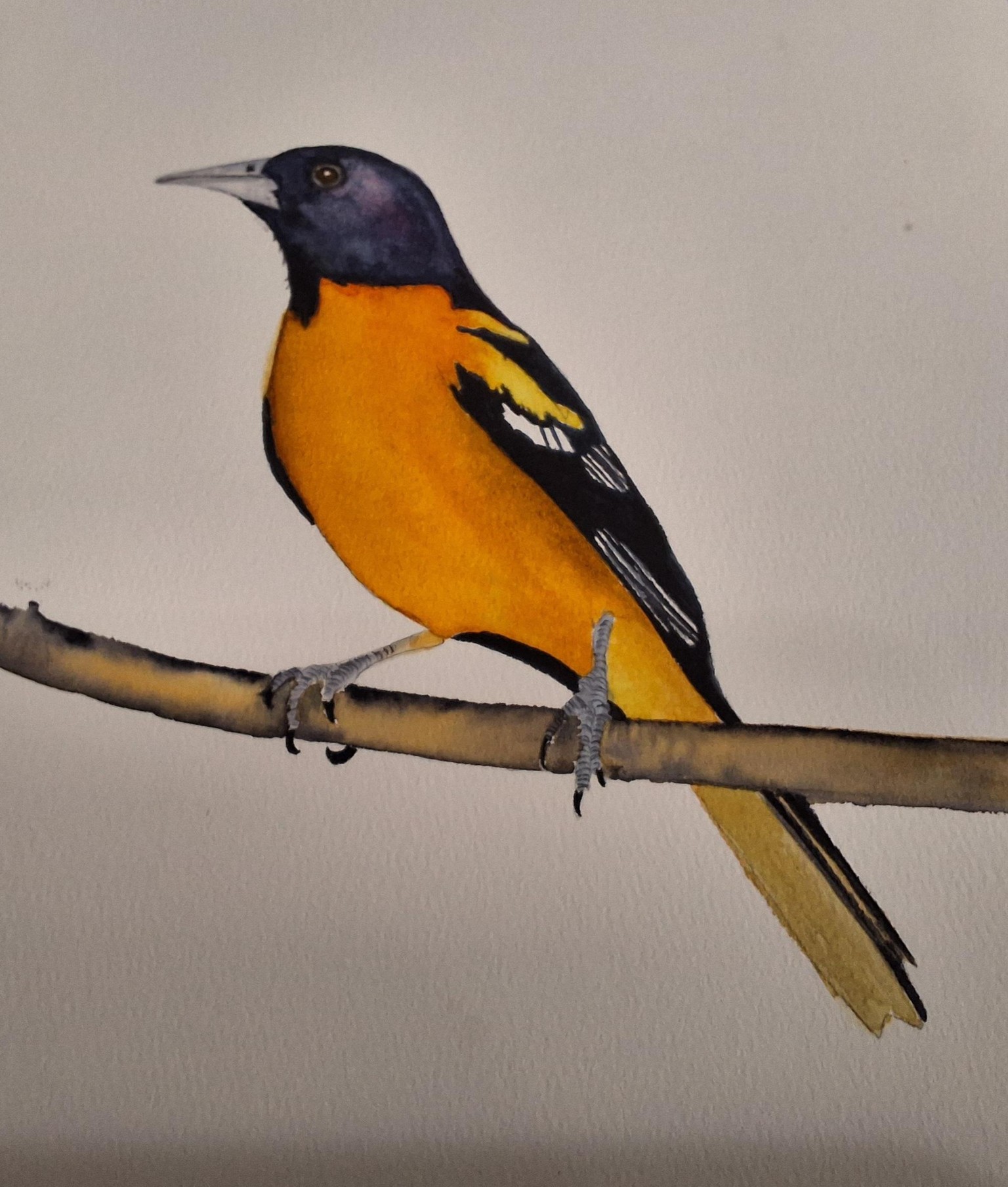 ORIOLE - image 1 - student project