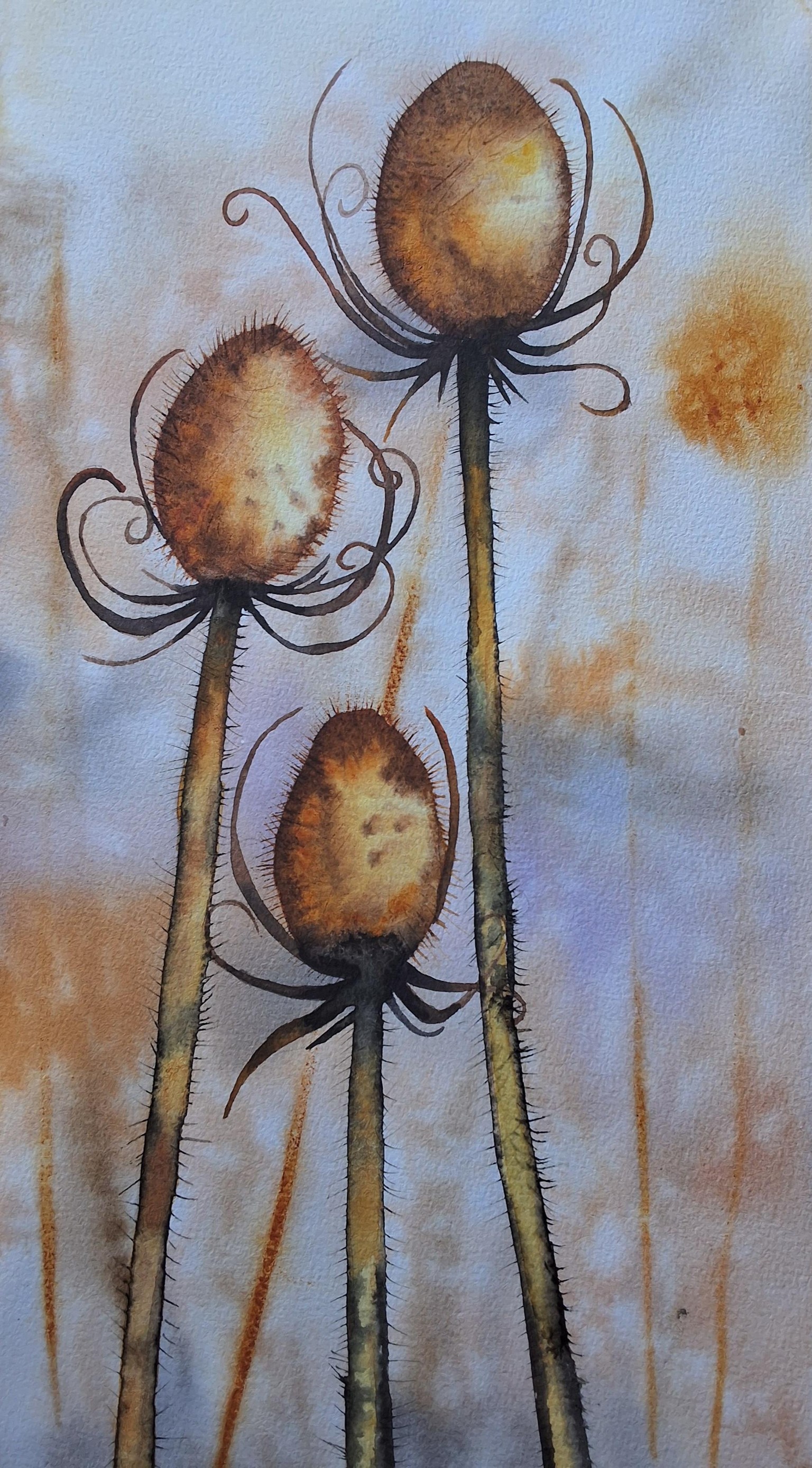 Golden teasels - image 1 - student project
