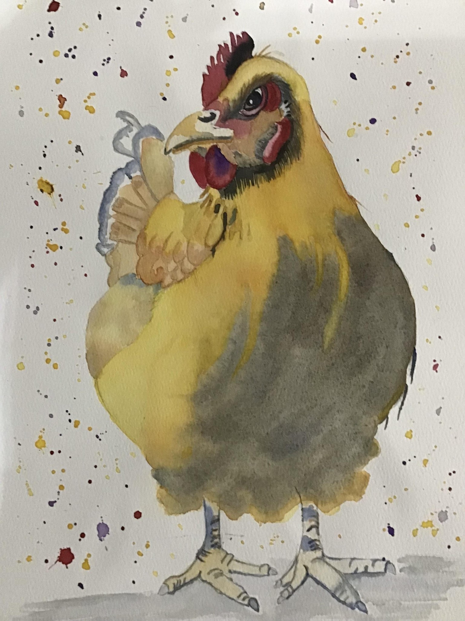 Chicken - image 1 - student project