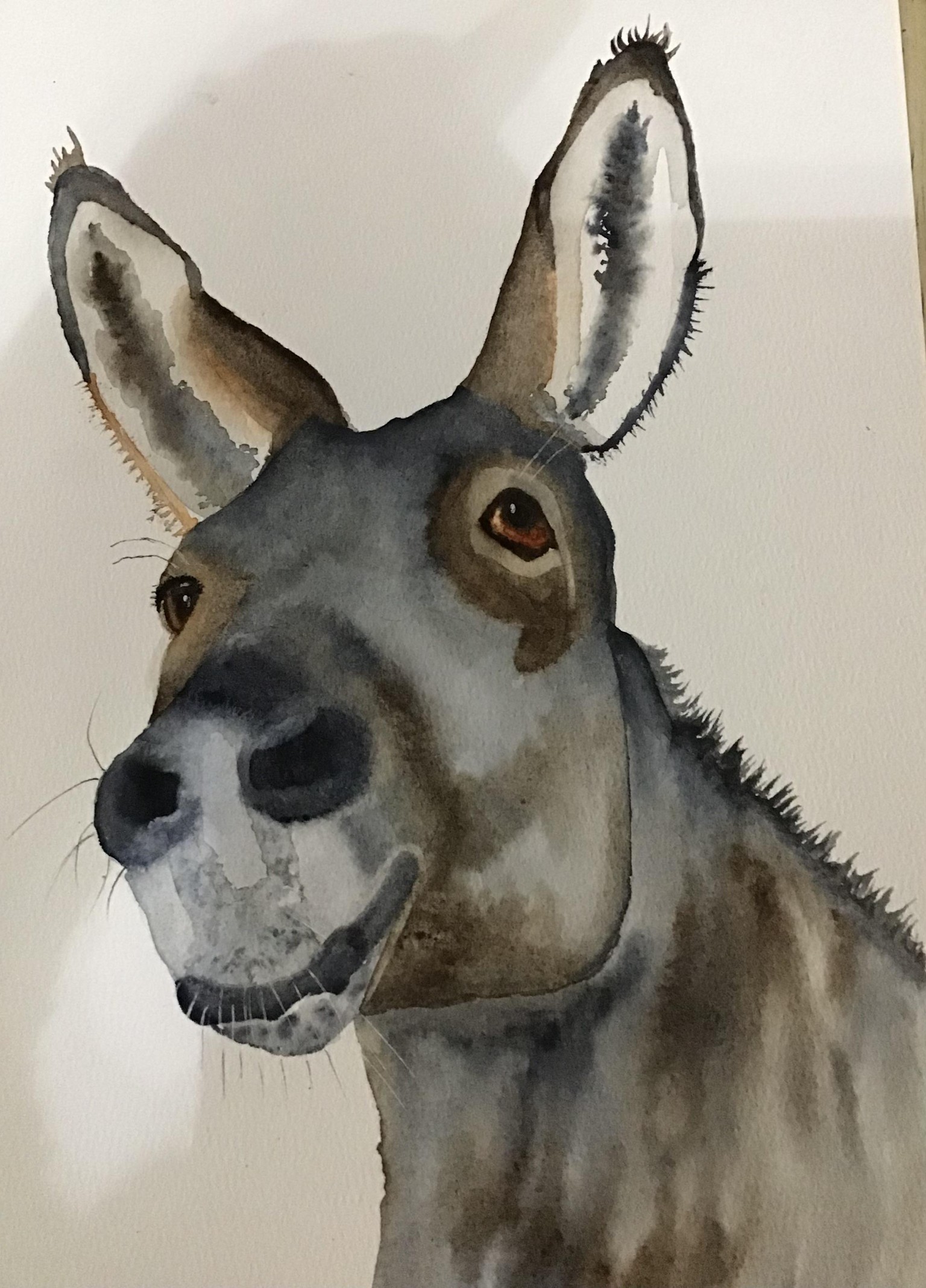 Donkey - image 1 - student project