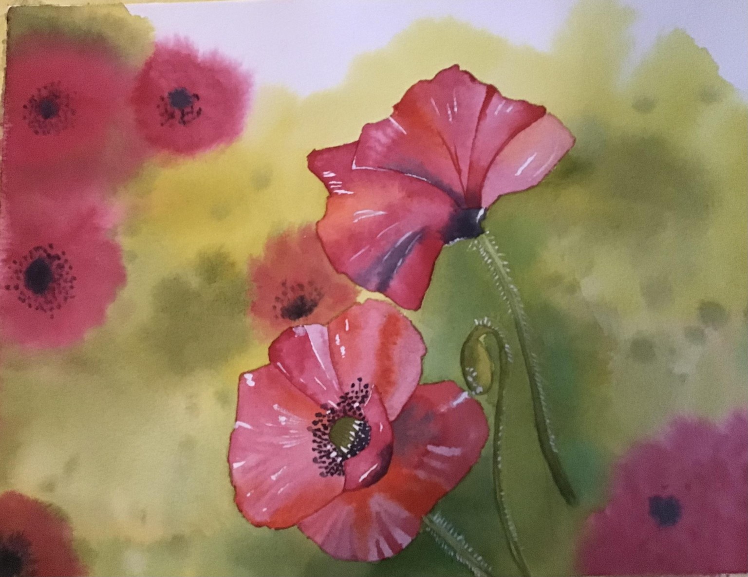 Watercolour florals - image 1 - student project