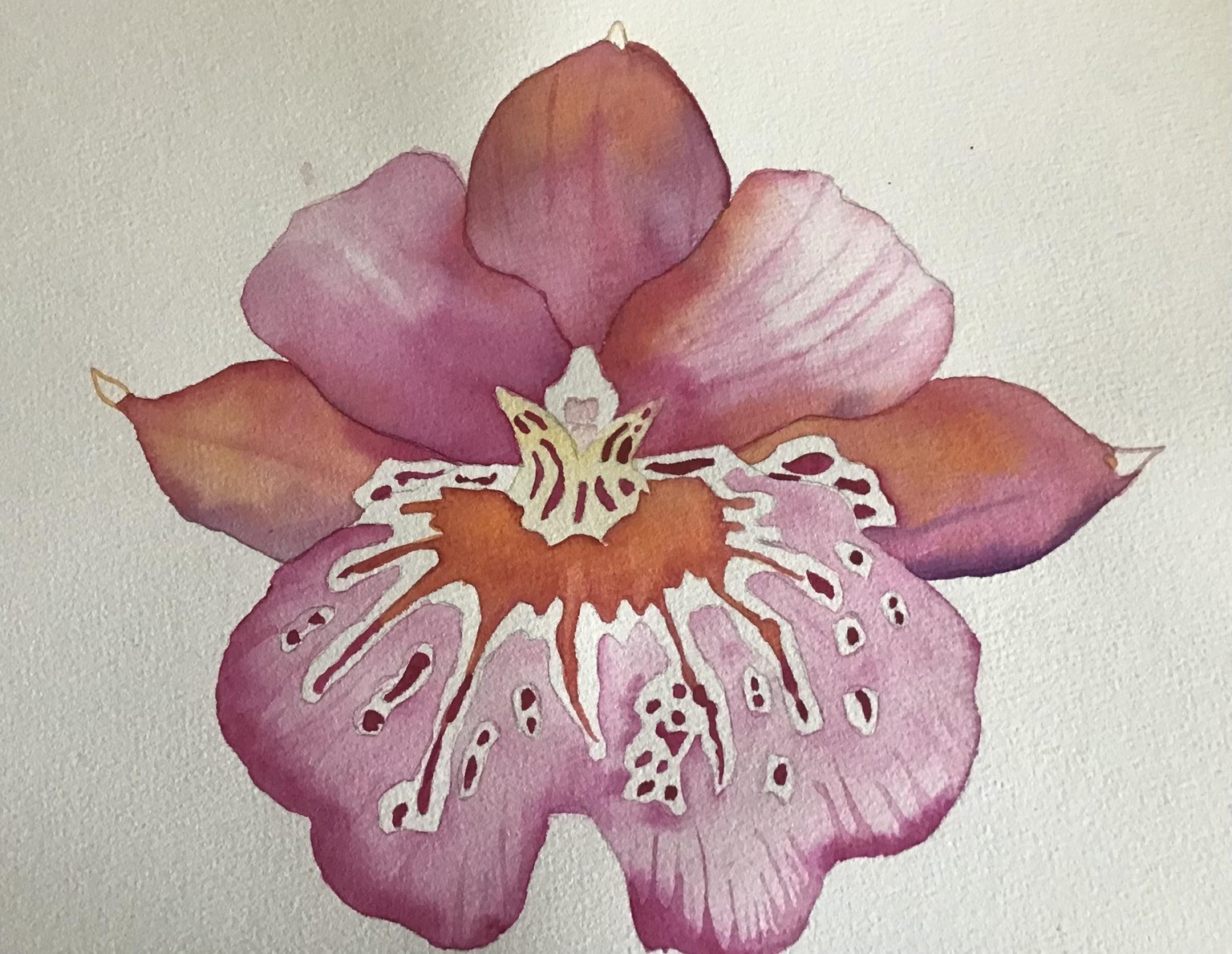 Watercolour orchids - image 1 - student project