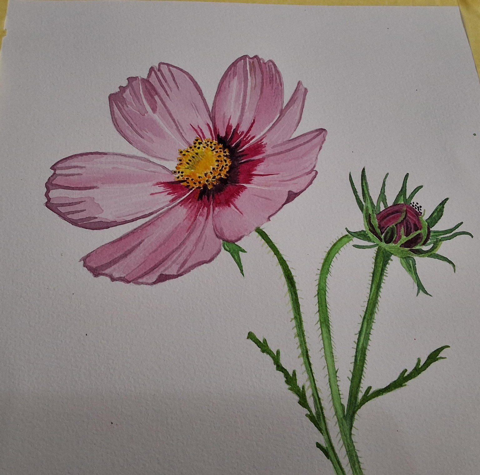 4 step method - image 1 - student project