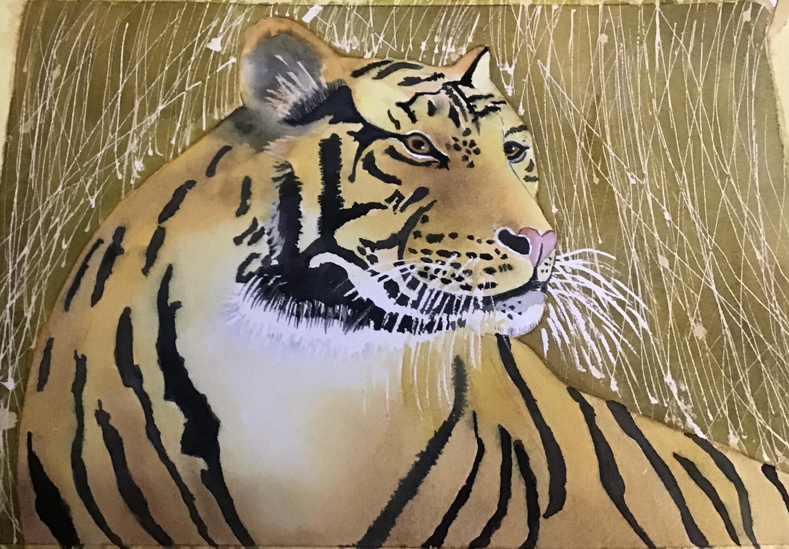 Tiger - image 1 - student project