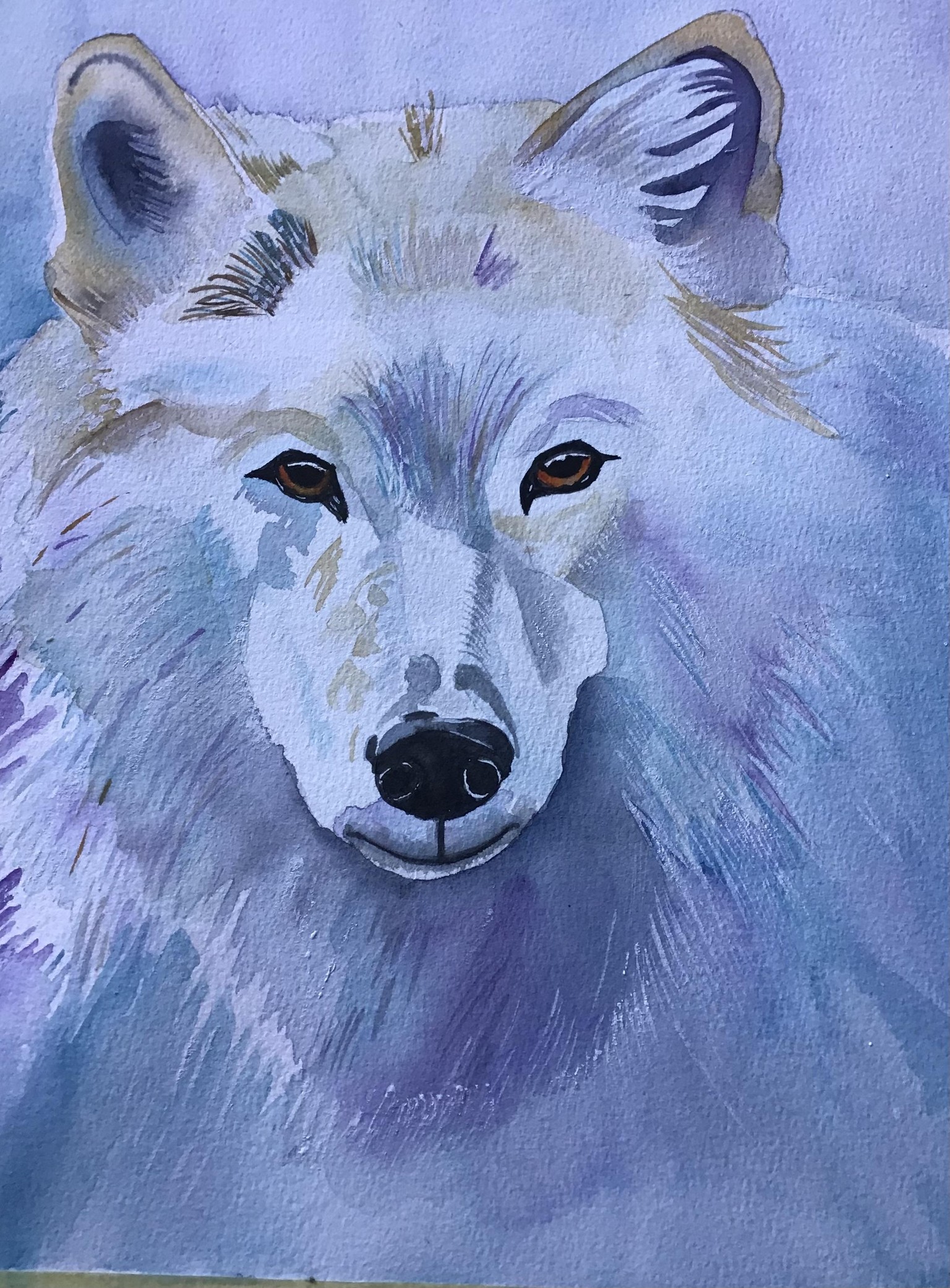 Wolf wild beauty - image 1 - student project
