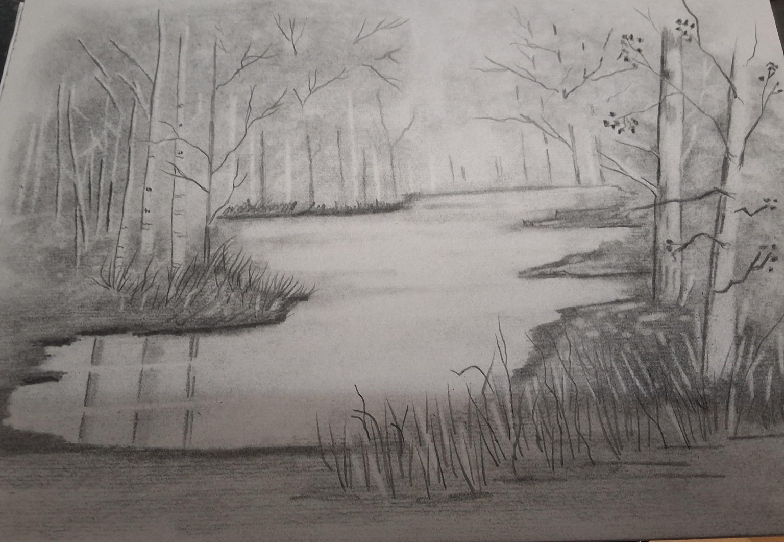 Graphite  powder and  Graphite pencil - image 1 - student project