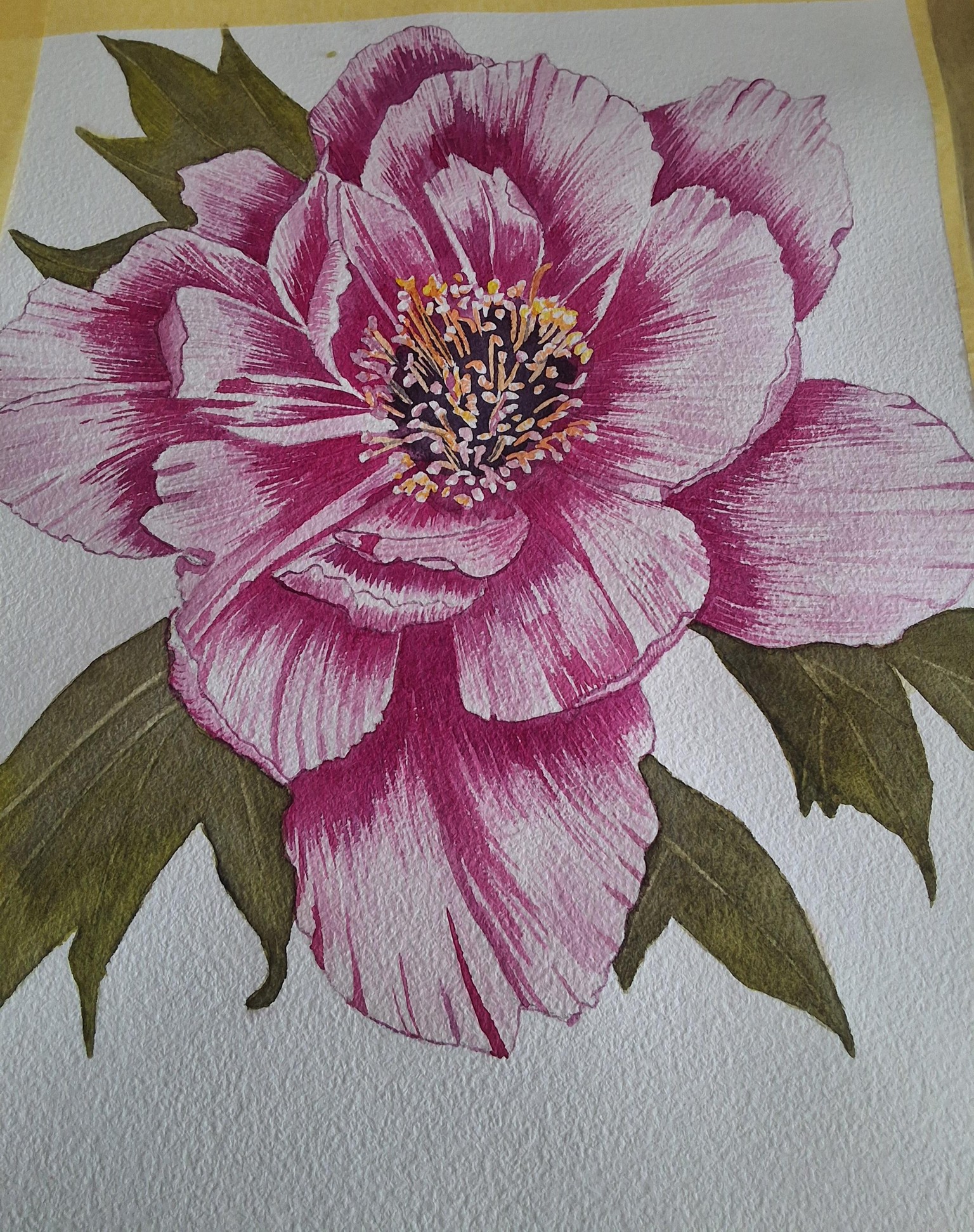 Peony - image 1 - student project