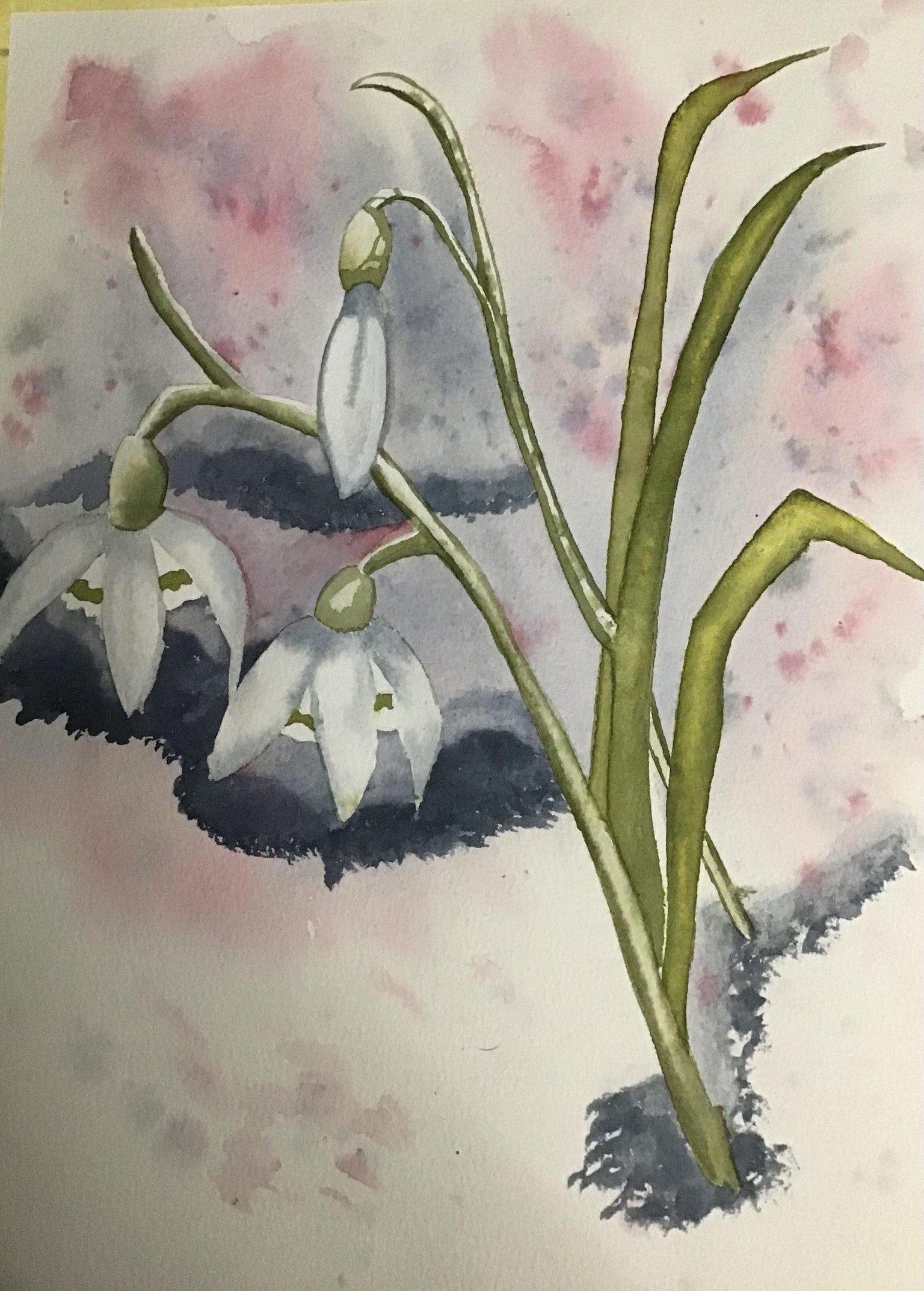 Snowdrops - image 1 - student project