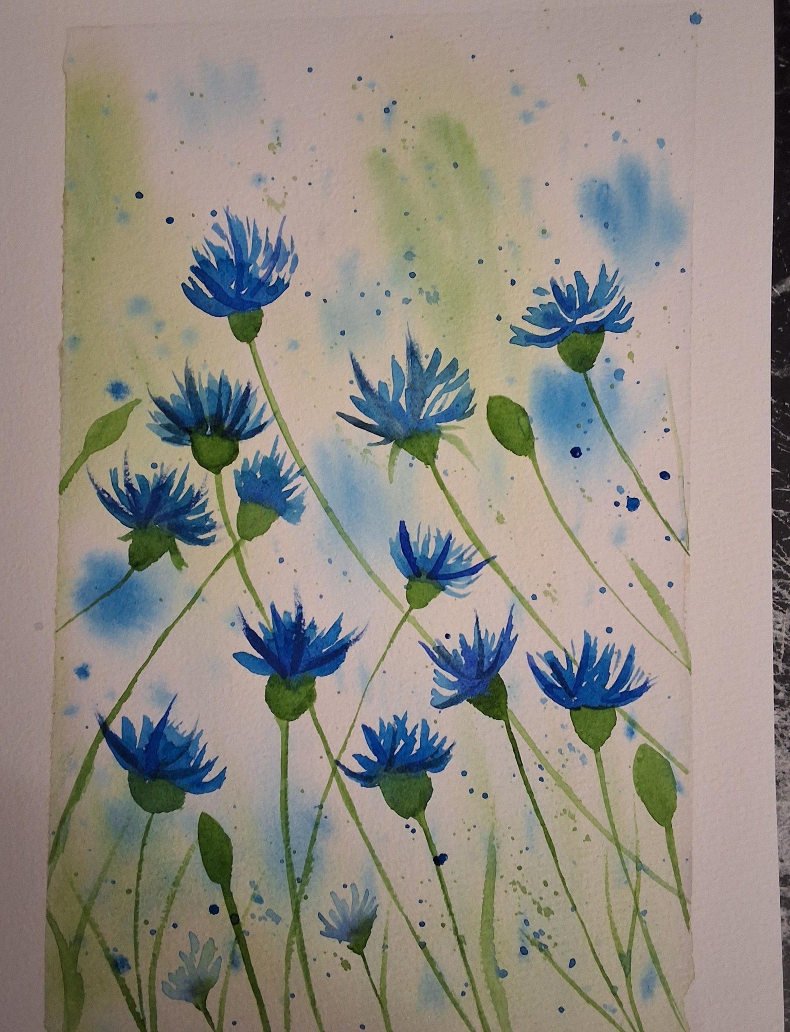 Soft meadows - image 1 - student project