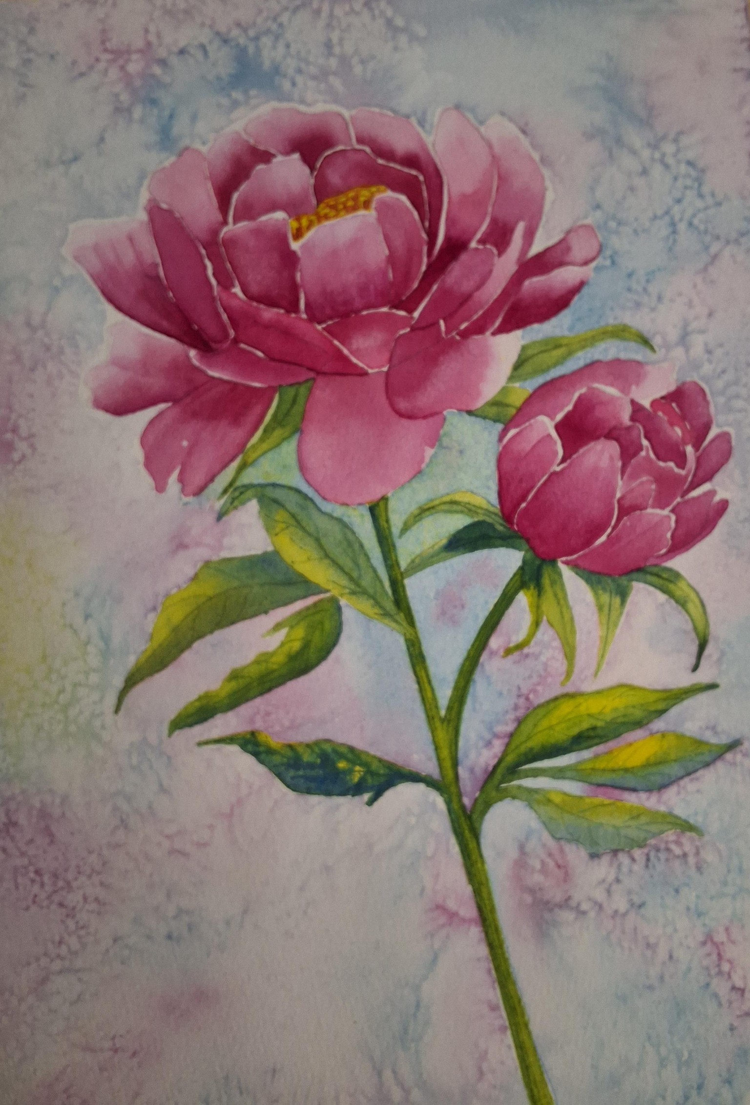 Peonies - image 1 - student project