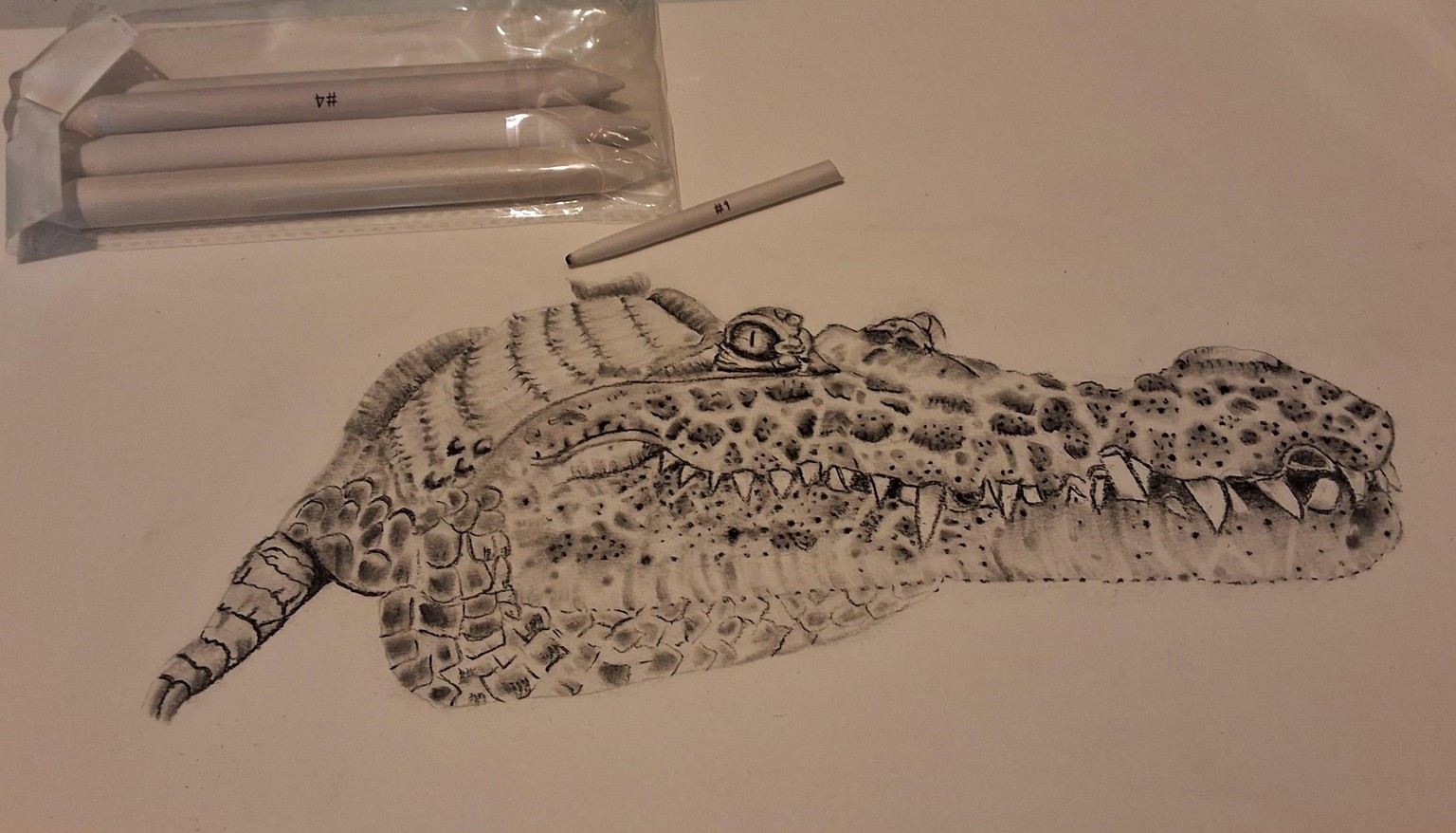 Croc - image 1 - student project
