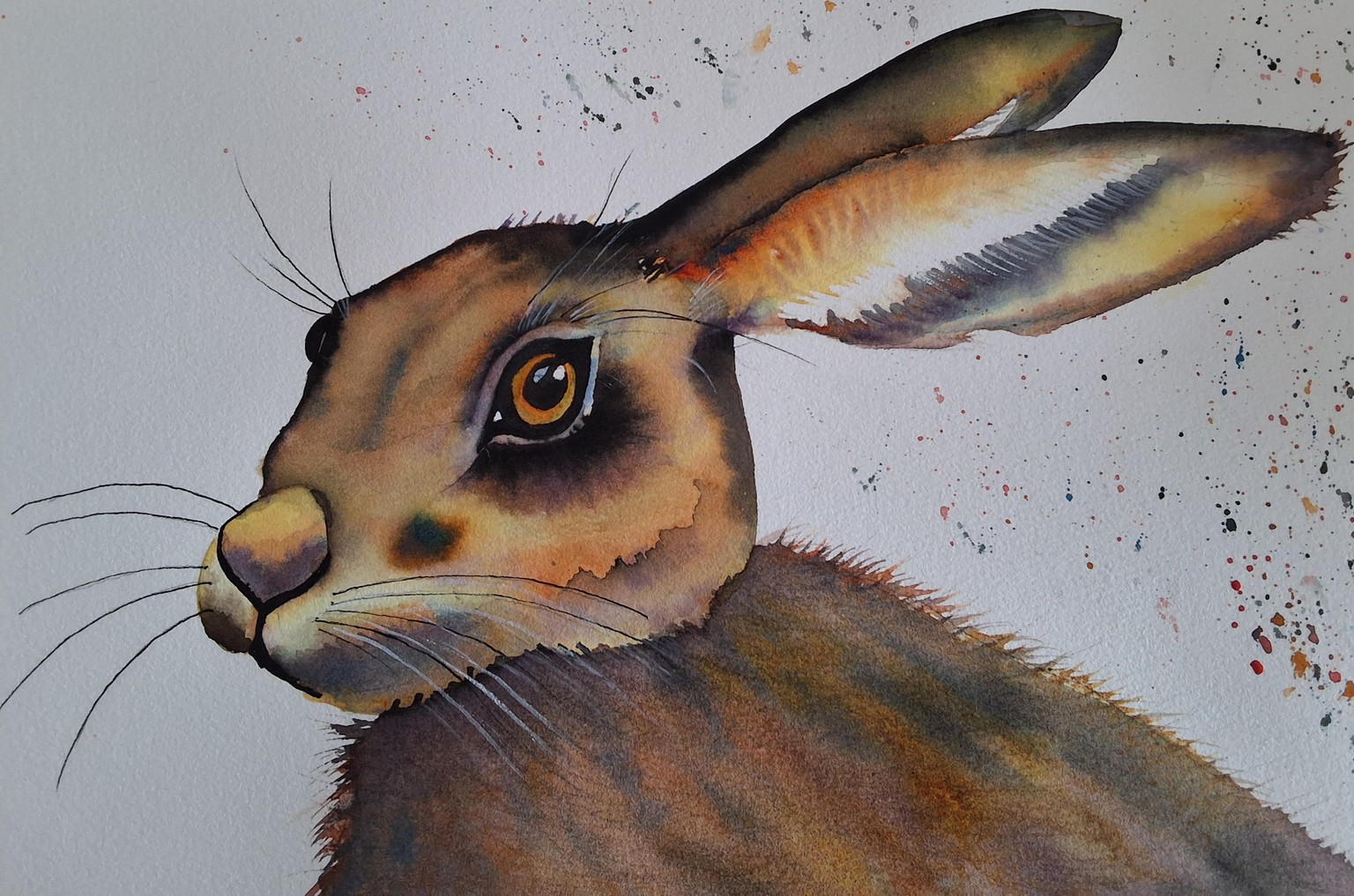 Hoppity hare - image 2 - student project