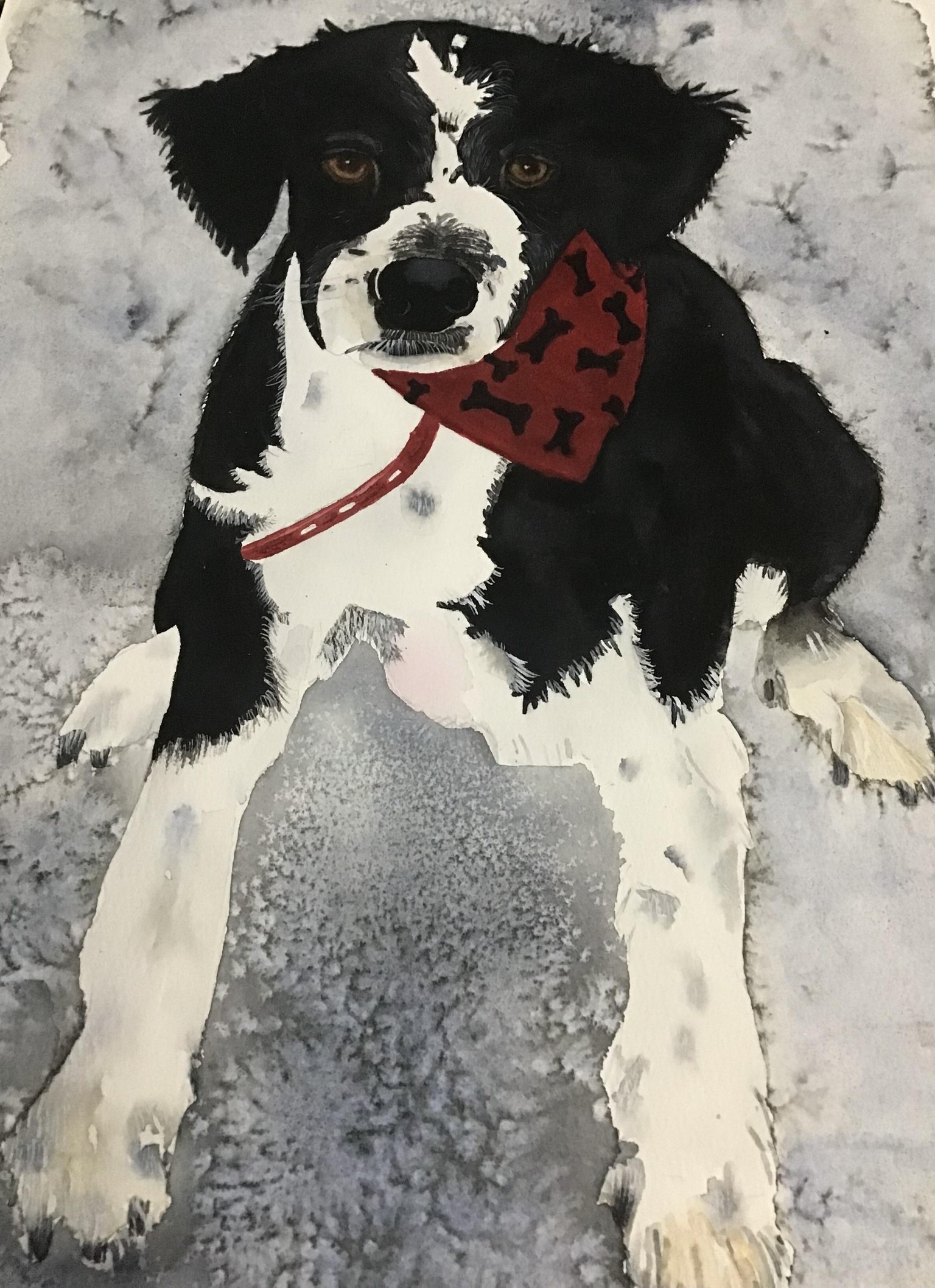Watercolour animal - image 1 - student project