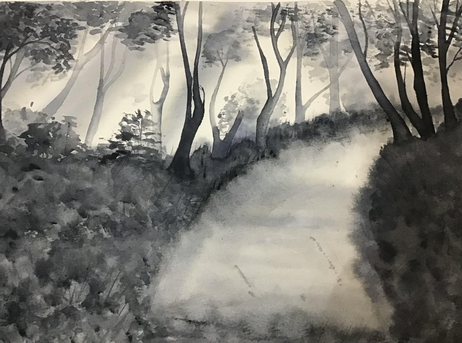 Forest - image 1 - student project