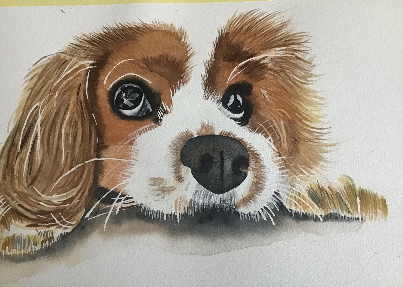 Dog with watercolour - image 1 - student project