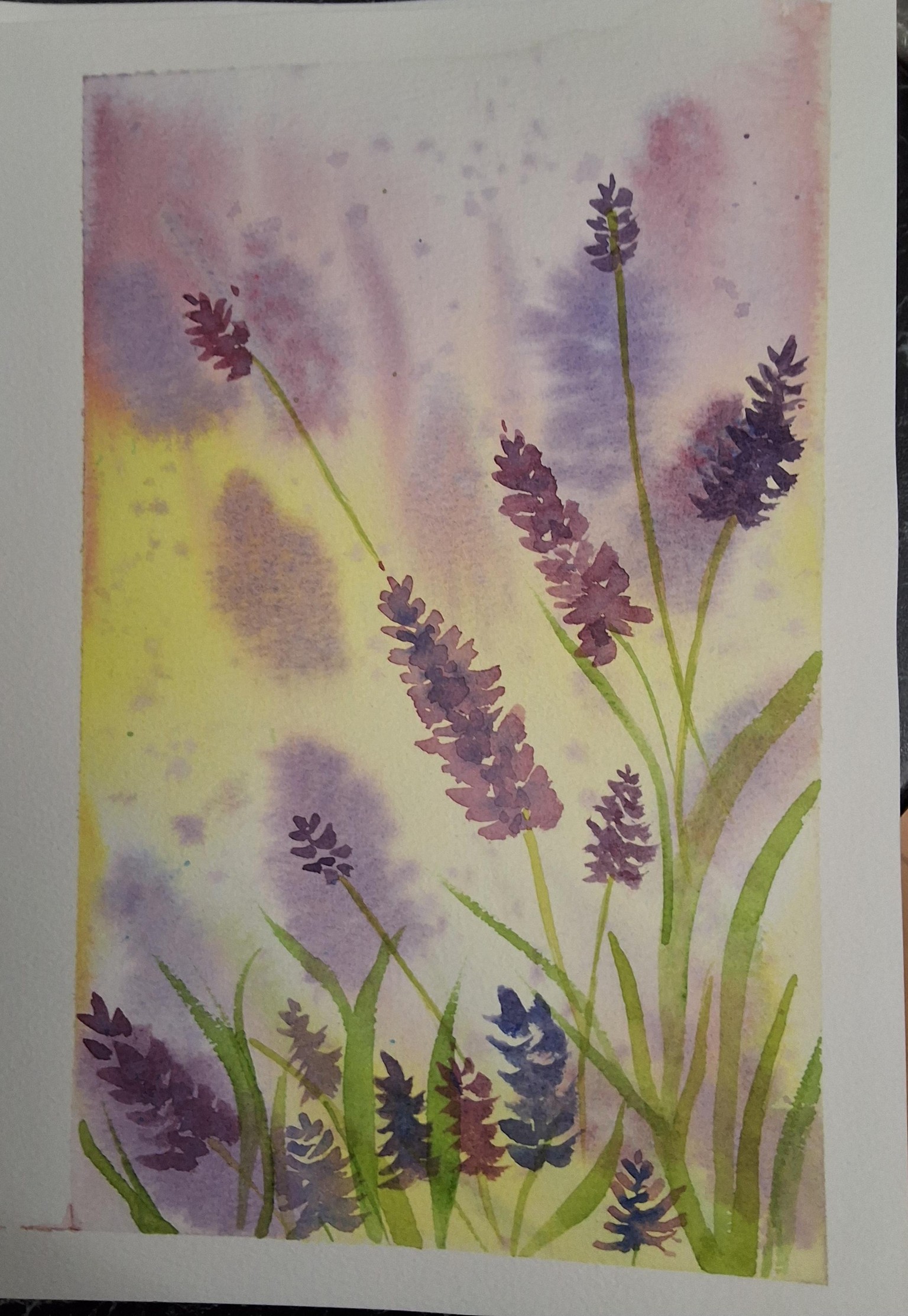 Soft meadows - image 2 - student project
