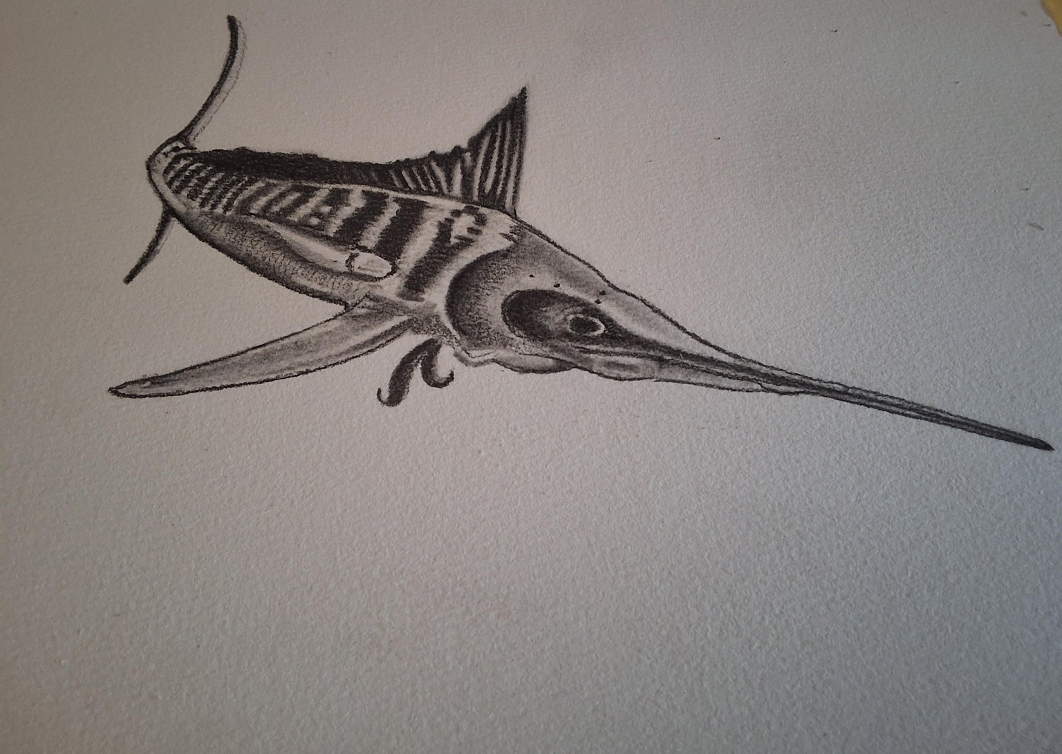 MARLIN - image 1 - student project