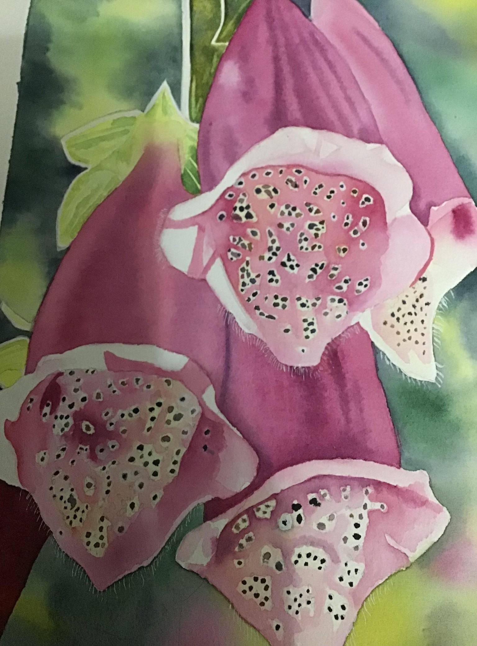 Fox glove in watercolour - image 1 - student project