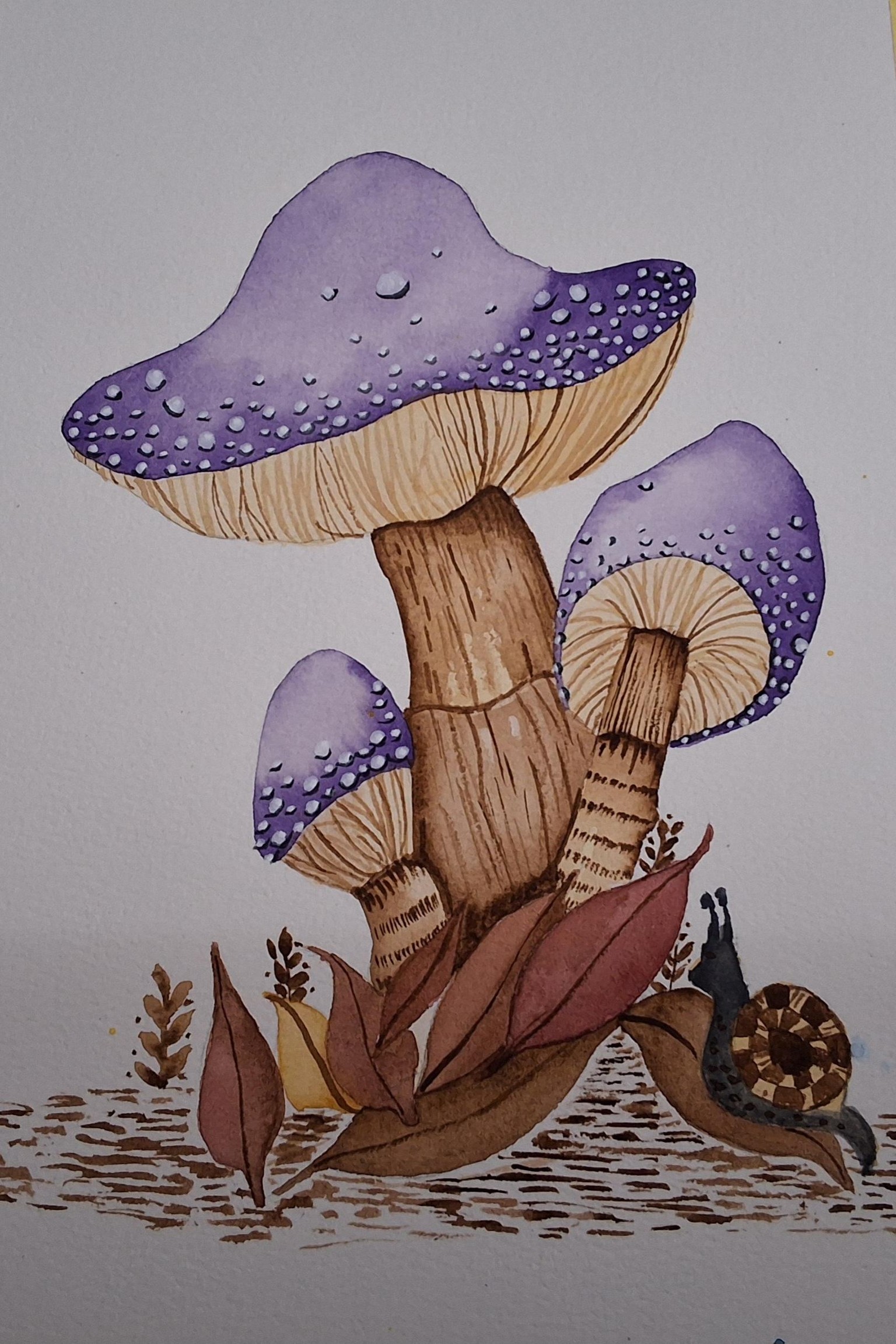 Mushrooms - image 1 - student project