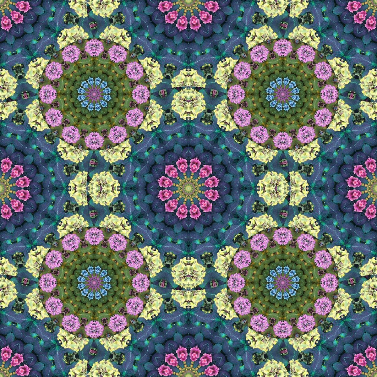Hydrangea Danger - image 1 - student project