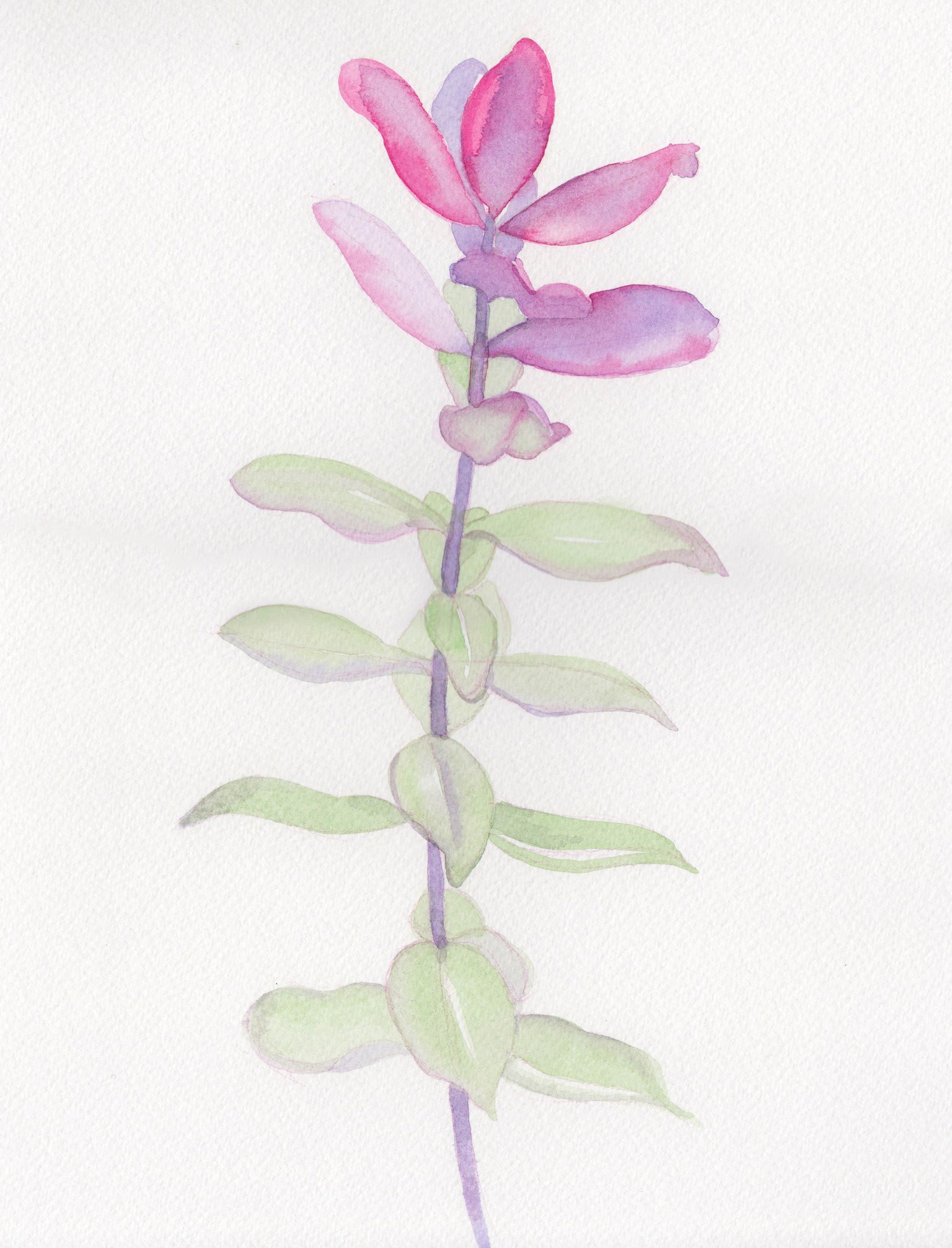 Hebe - image 1 - student project