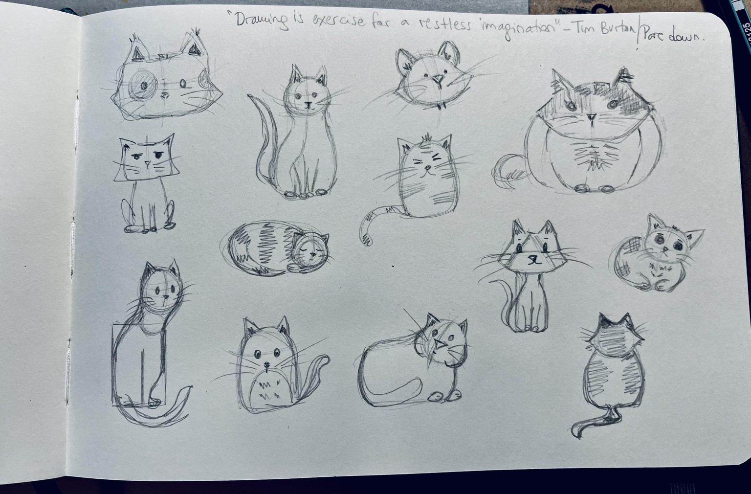 My little cat's sketches! - image 1 - student project