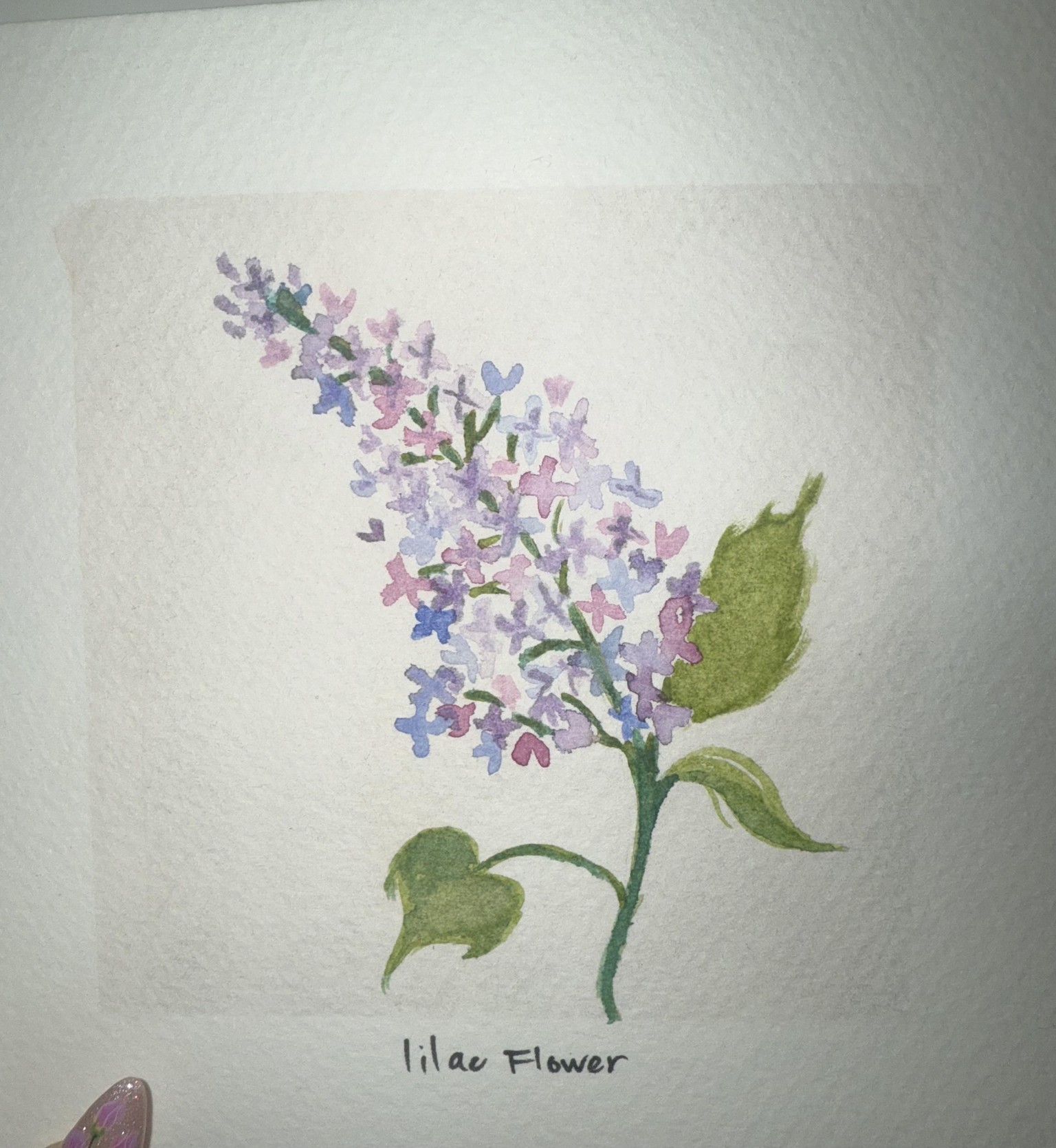 Spring lilac - image 1 - student project