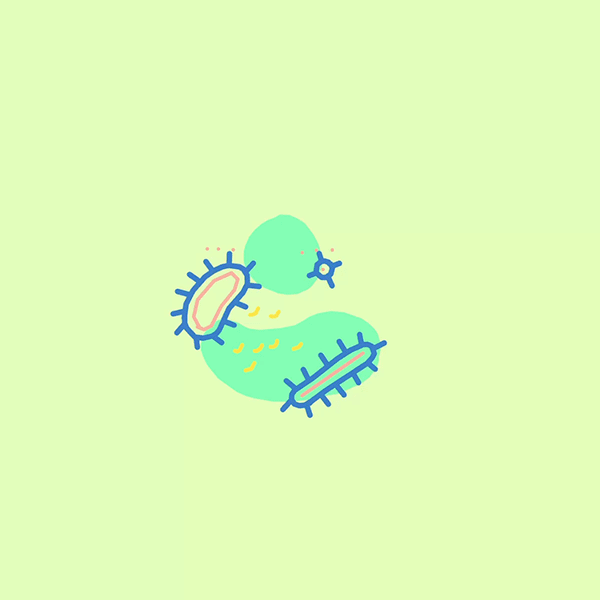 :) - image 1 - student project