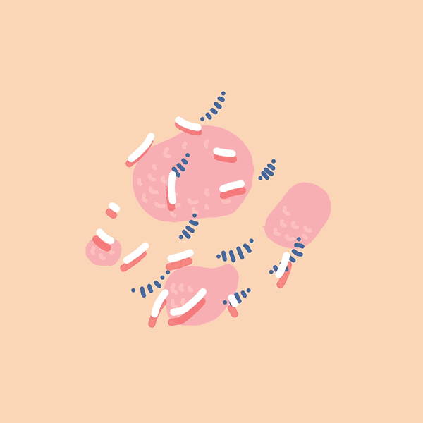 :) - image 2 - student project