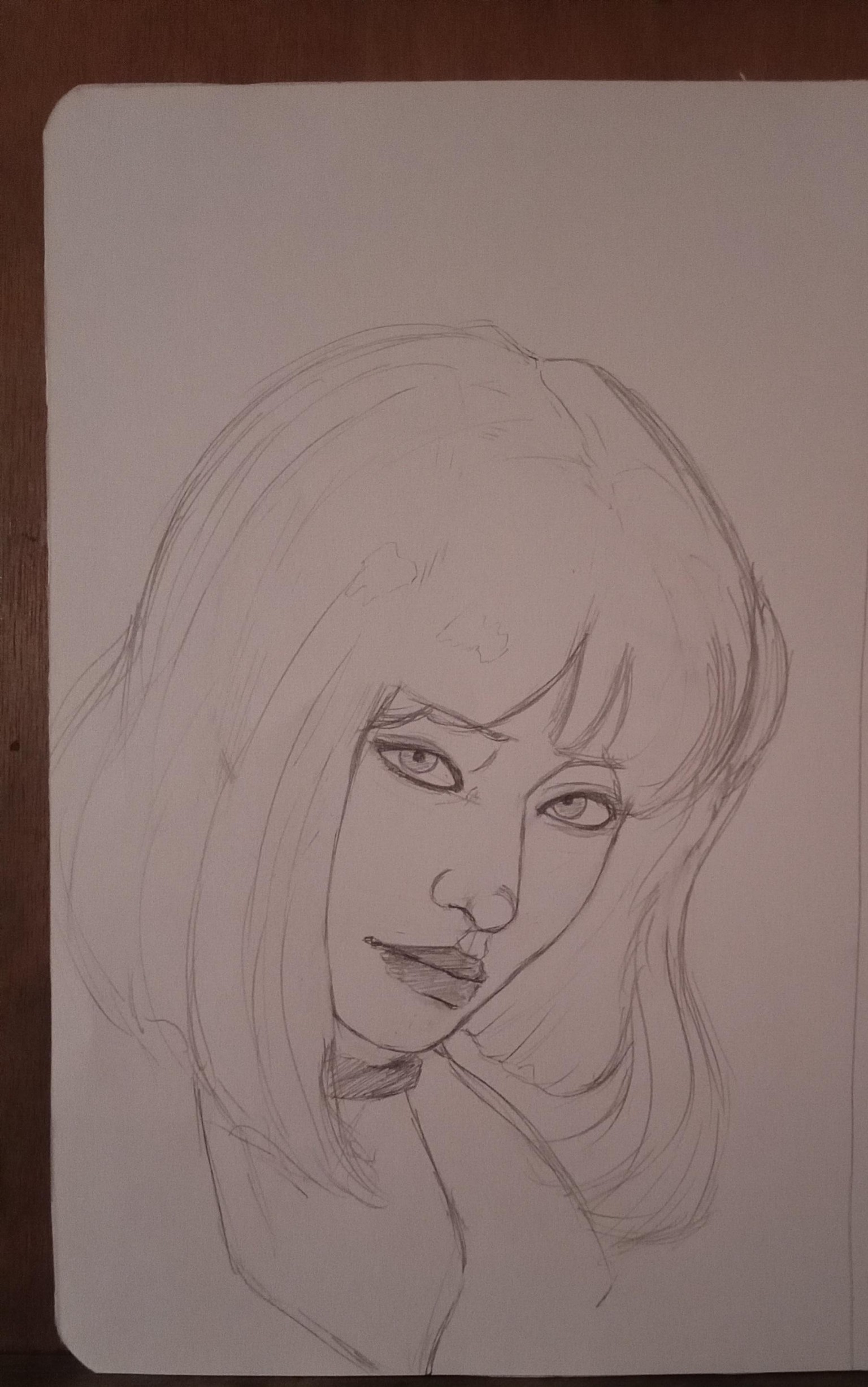 Retrato - image 1 - student project
