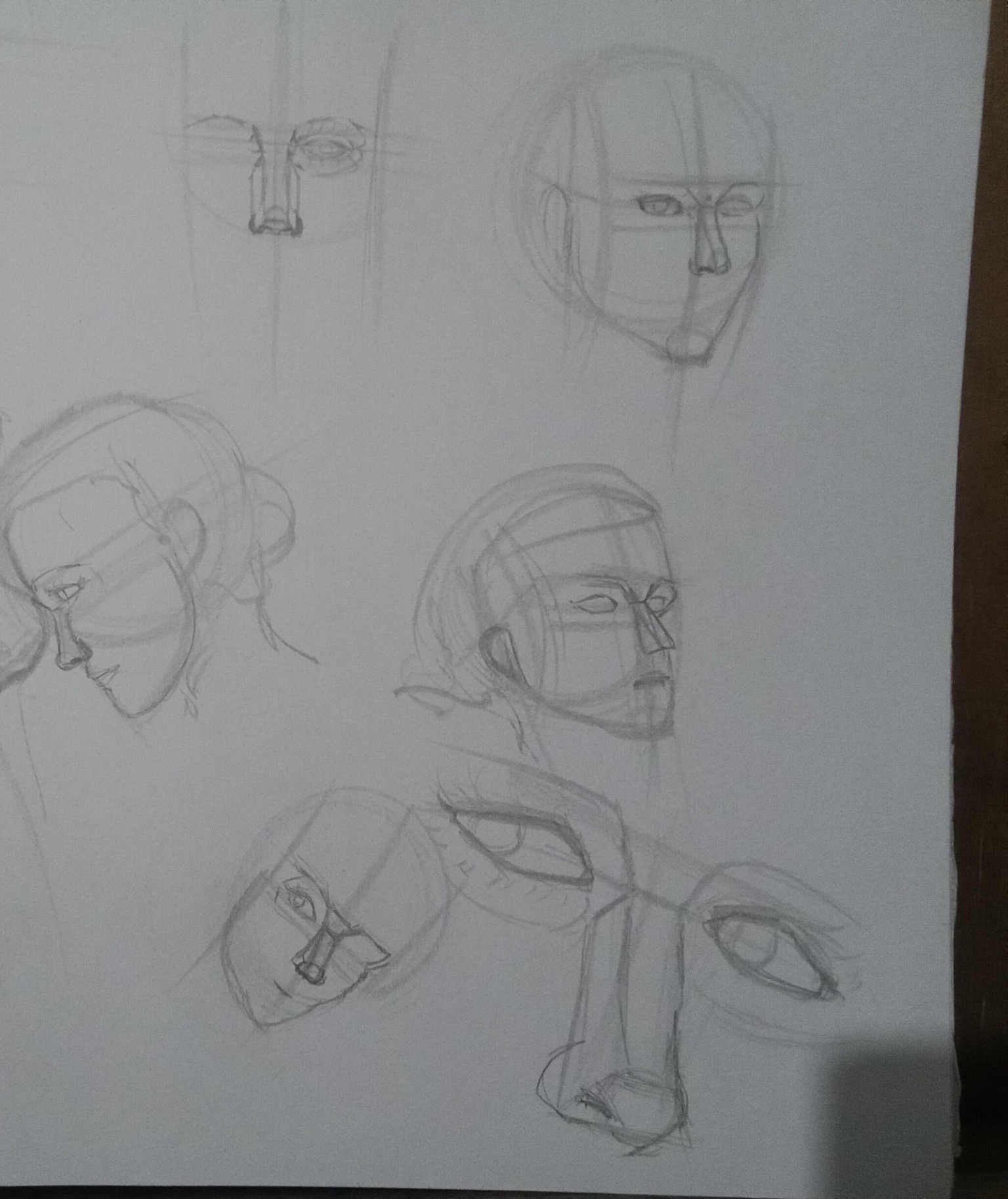 Drawing the head- Facial features - image 2 - student project