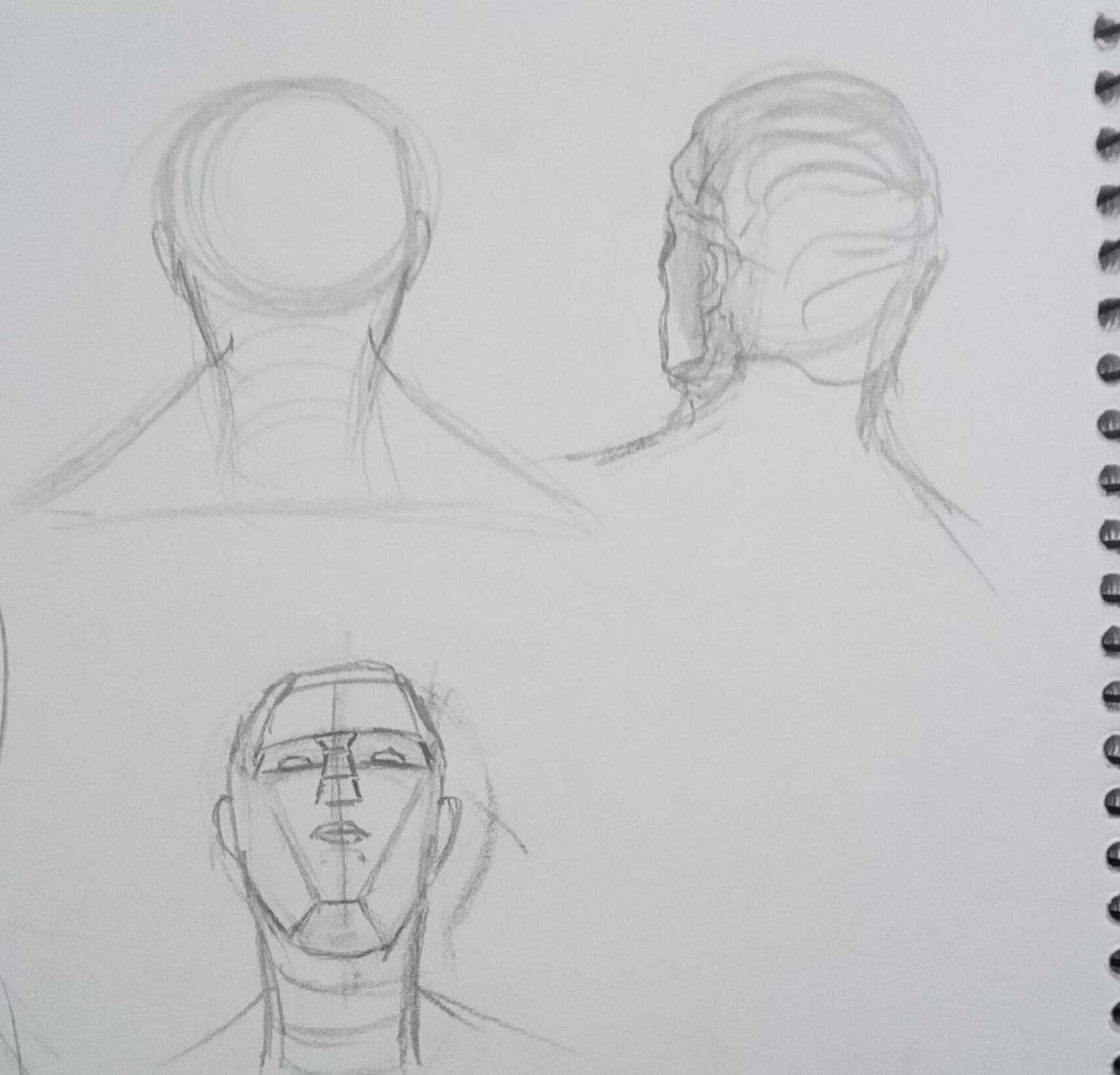 Drawing the head - image 2 - student project