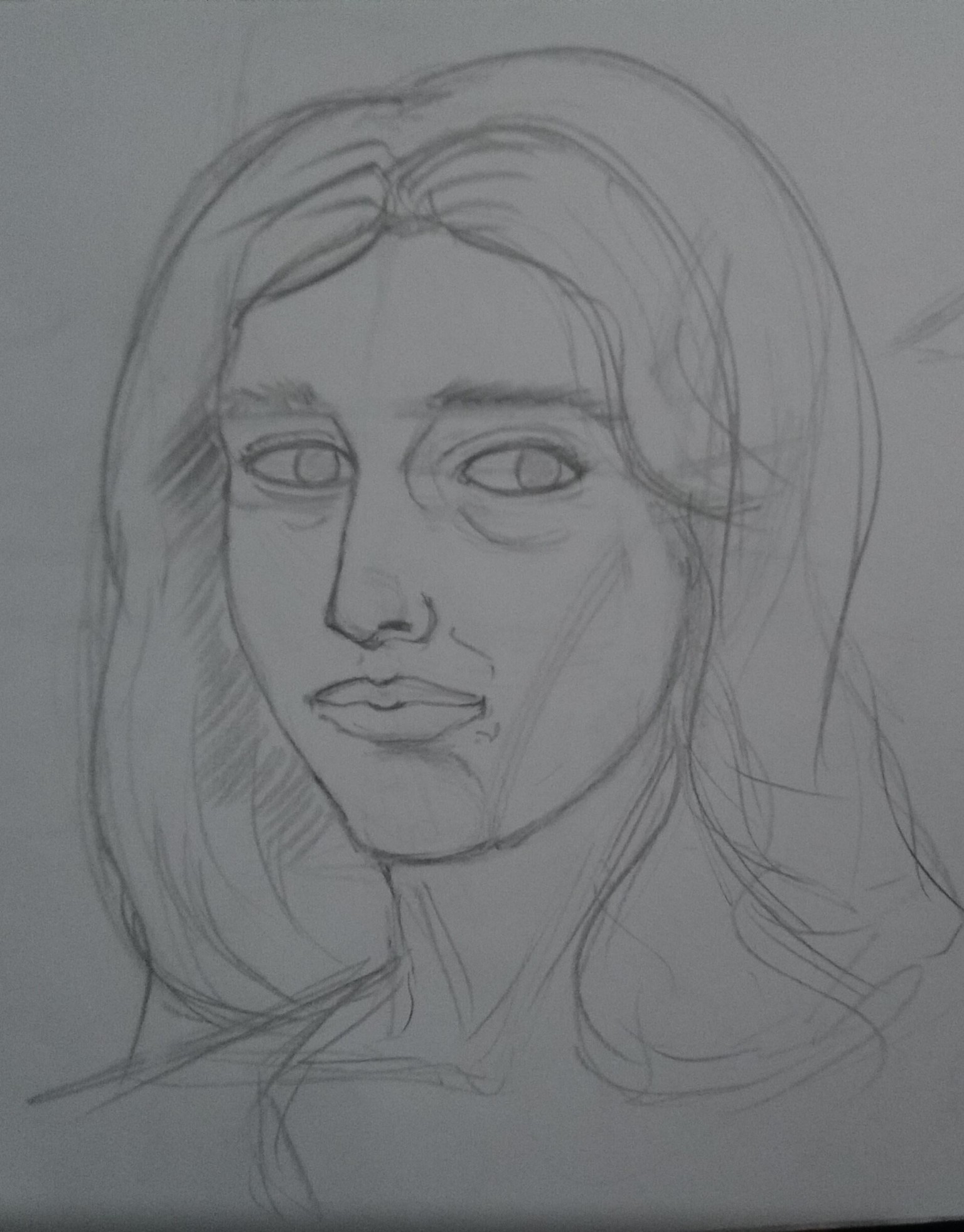 Drawing the head - image 1 - student project