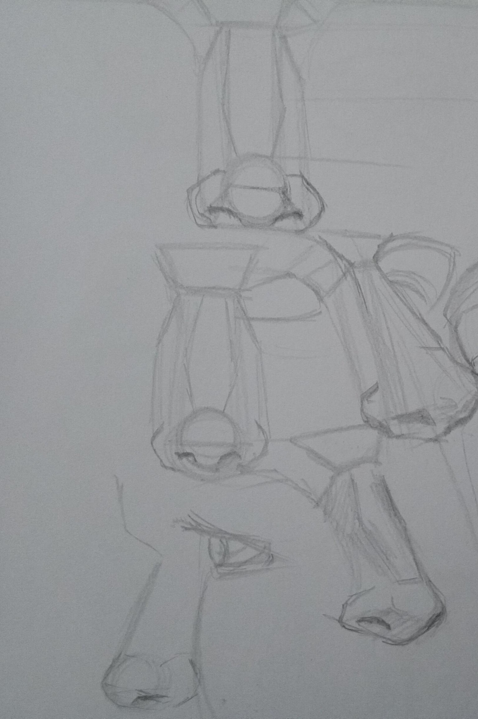 Drawing the head- Facial features - image 3 - student project