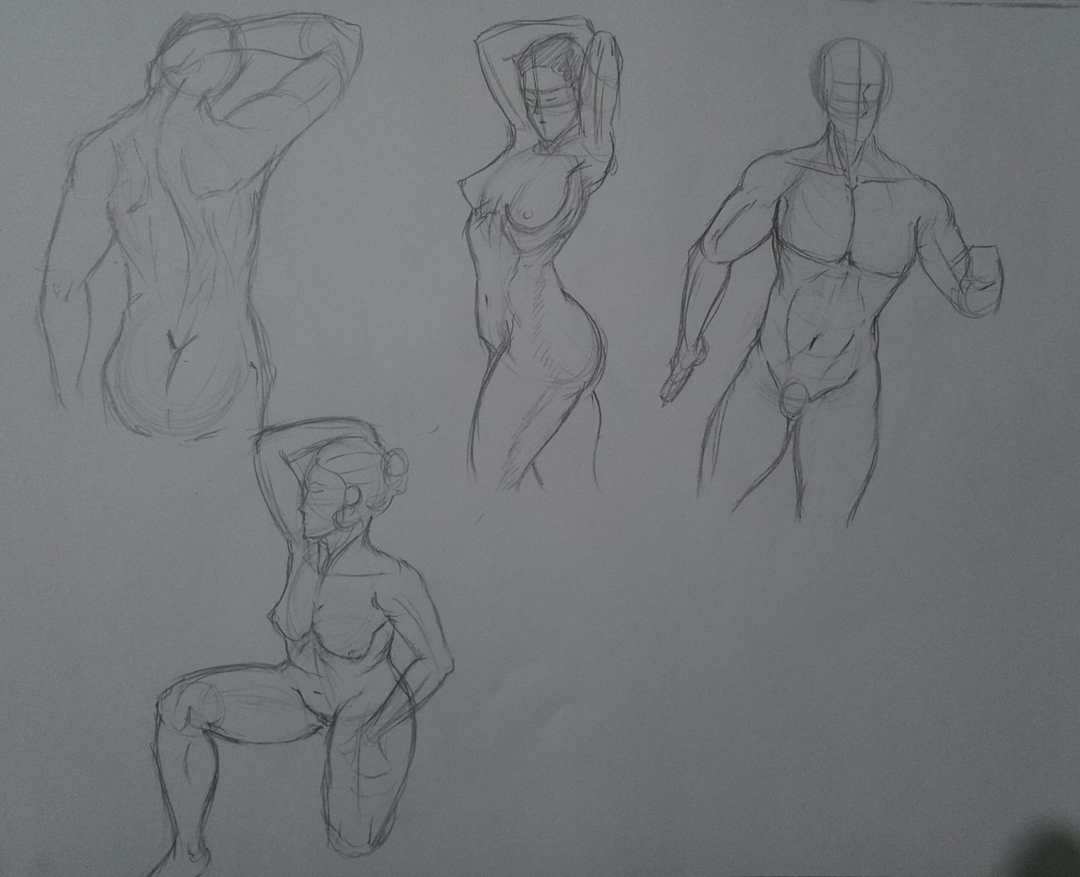 Drawin the torso - image 1 - student project