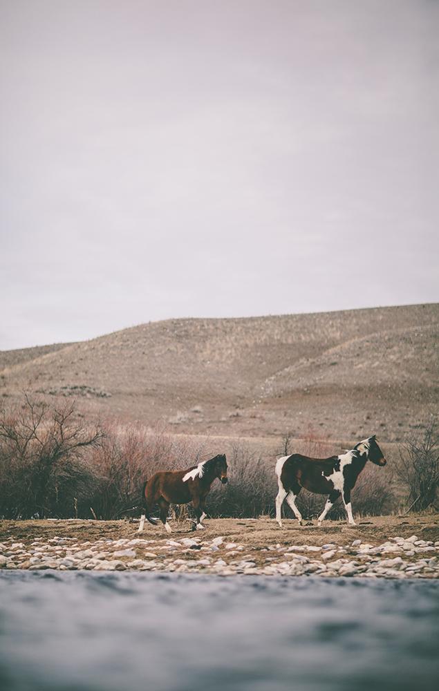 Big Horn River, Montana - image 2 - student project