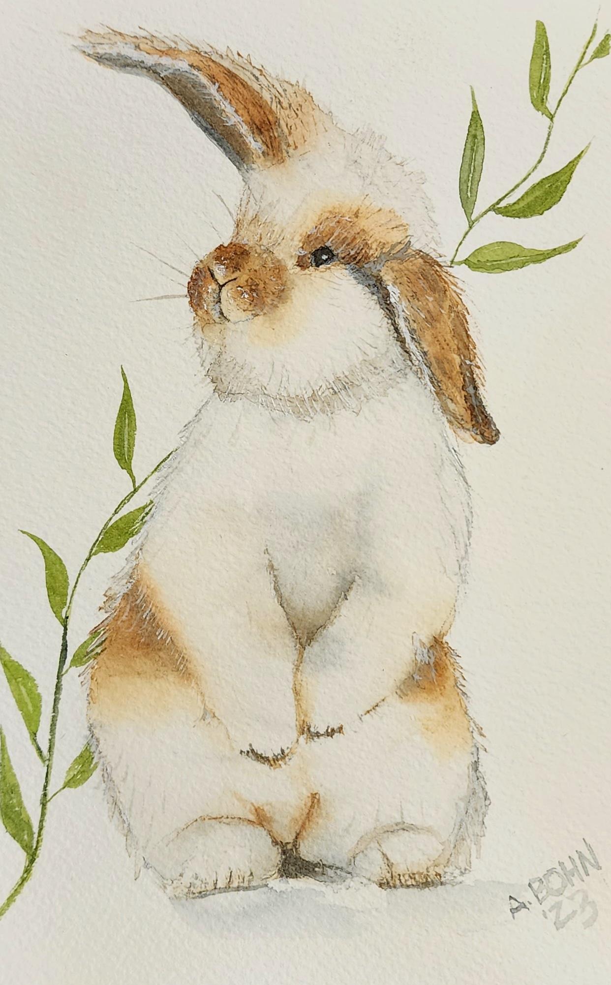 Bunny - image 1 - student project