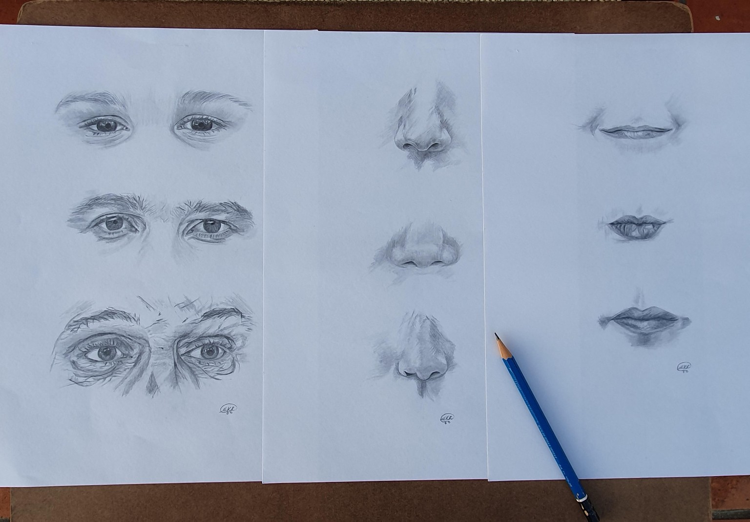 Eyes, Noses, Mouths - image 1 - student project