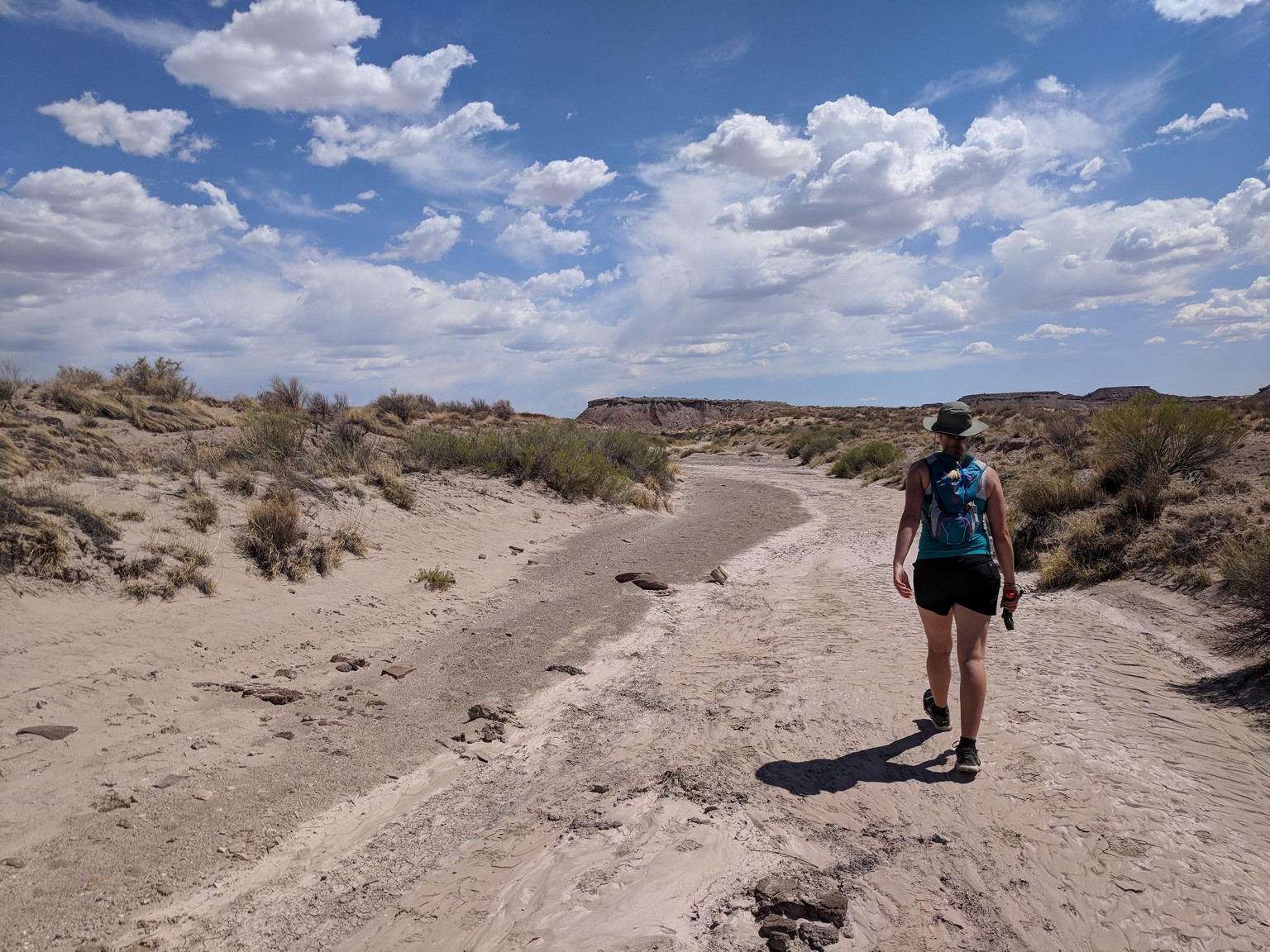 Adventure in the Painted Desert - image 1 - student project