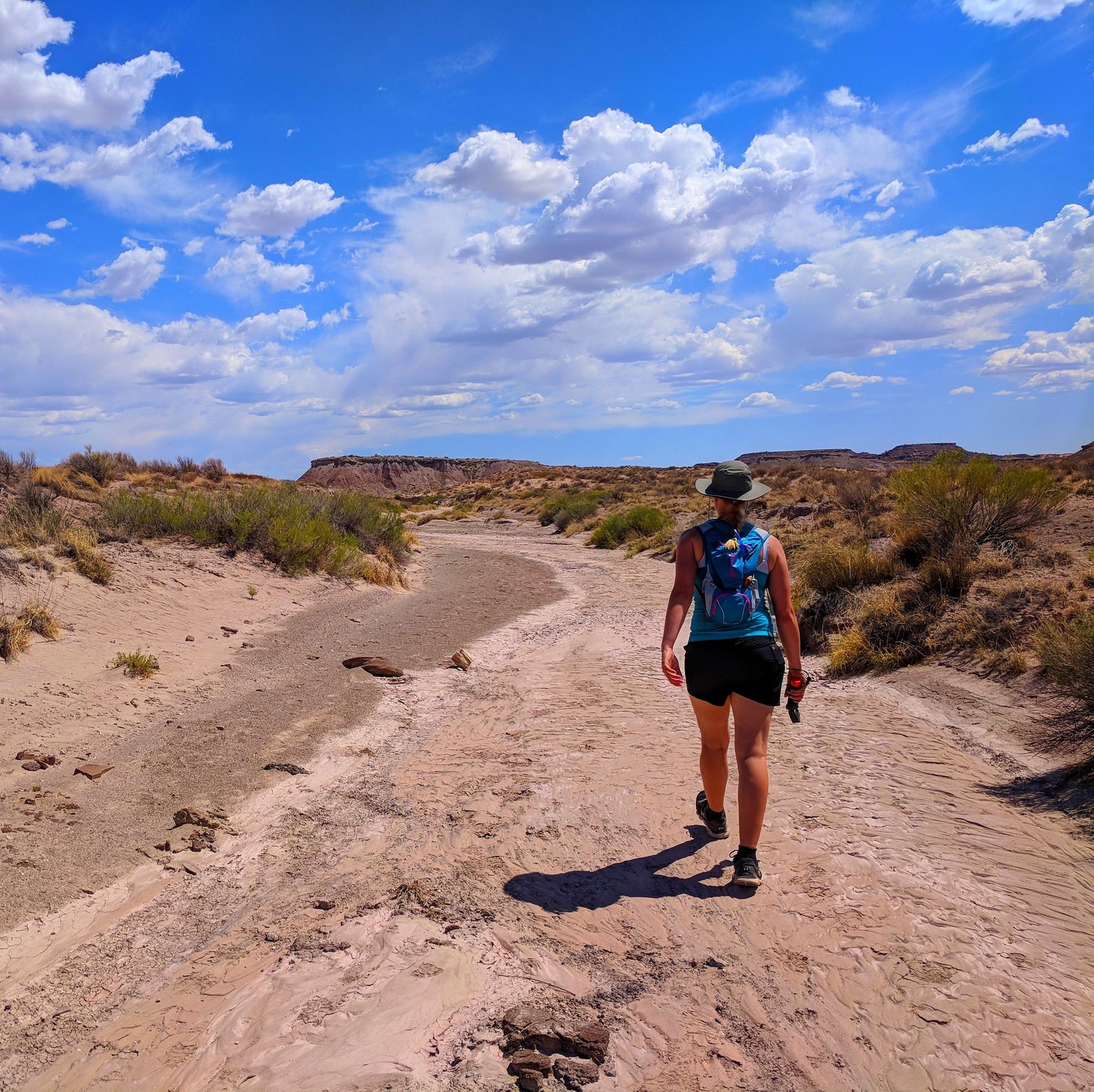 Adventure in the Painted Desert - image 2 - student project
