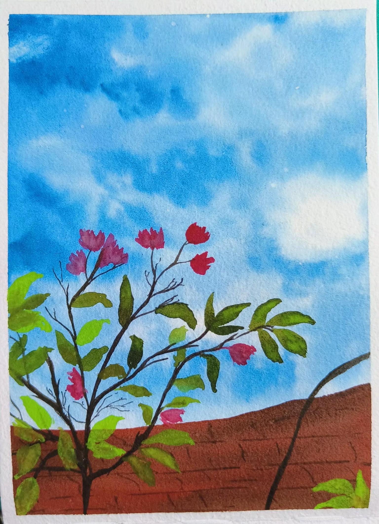 Blue skies - image 3 - student project