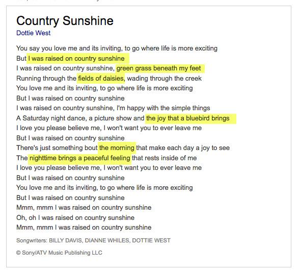I Was Raised on Country Sunshine - image 1 - student project