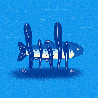 Fish - image 1 - student project